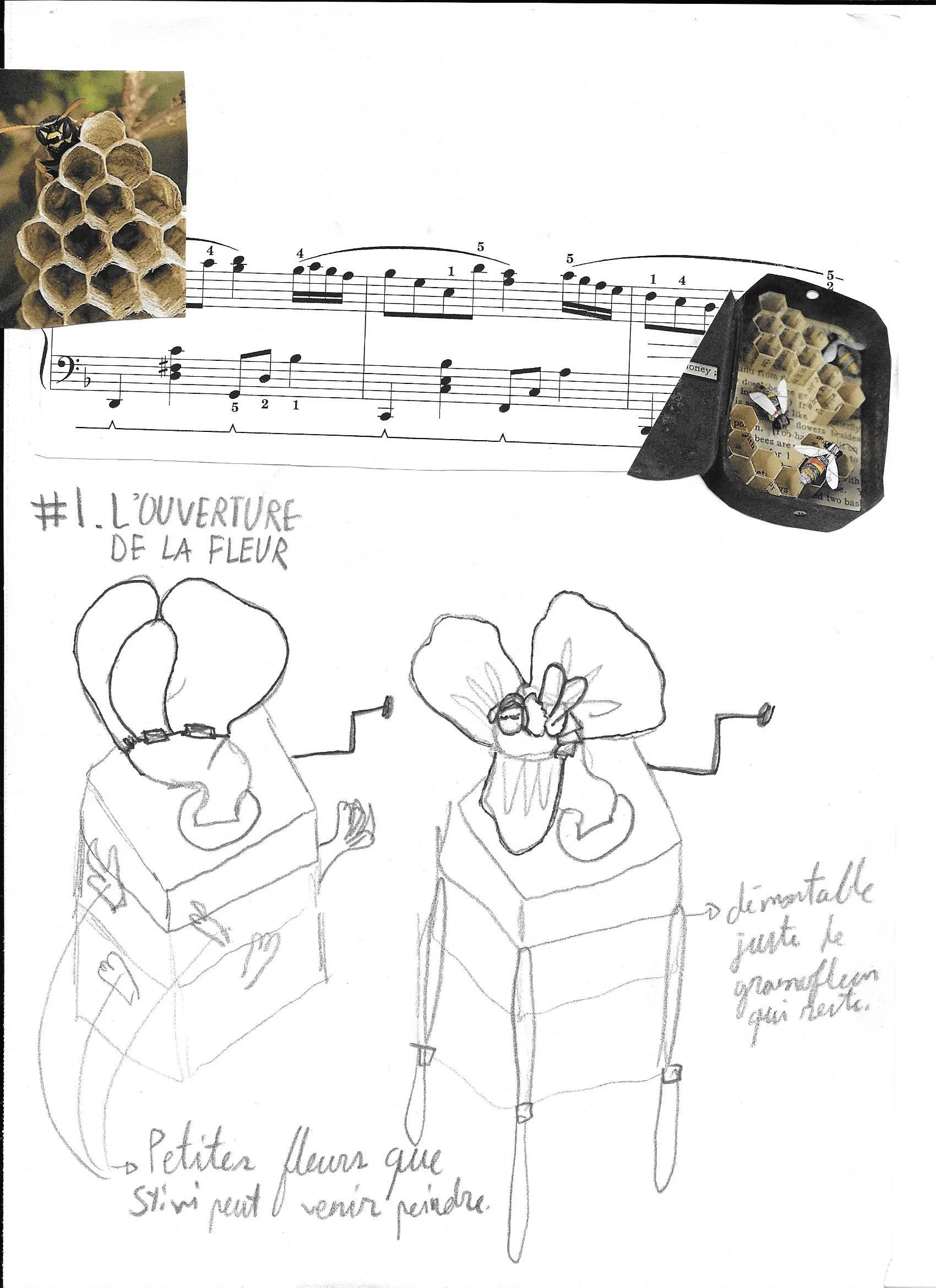 2. Grammofleur.jpg