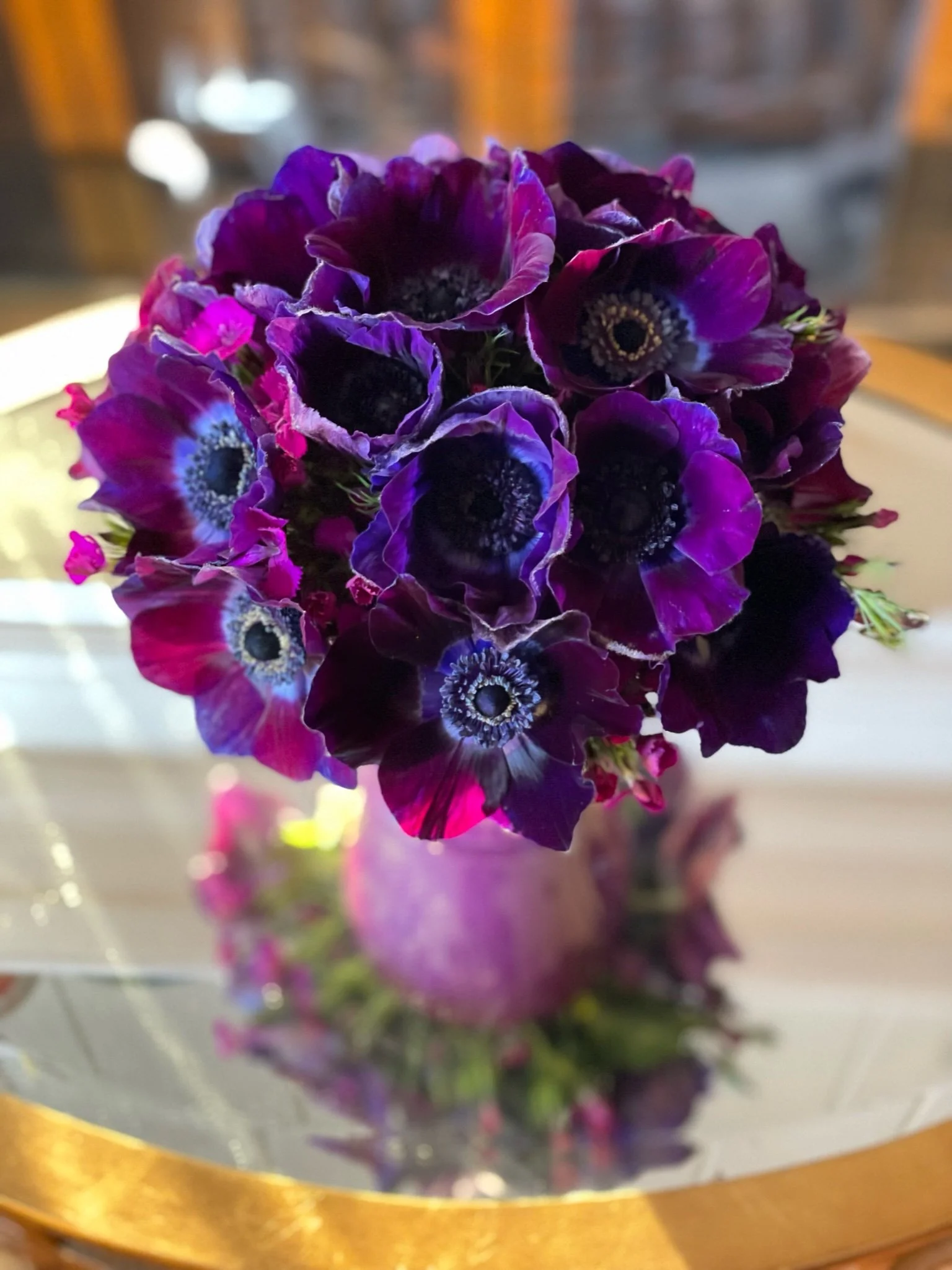 IMG_3852.jpeg