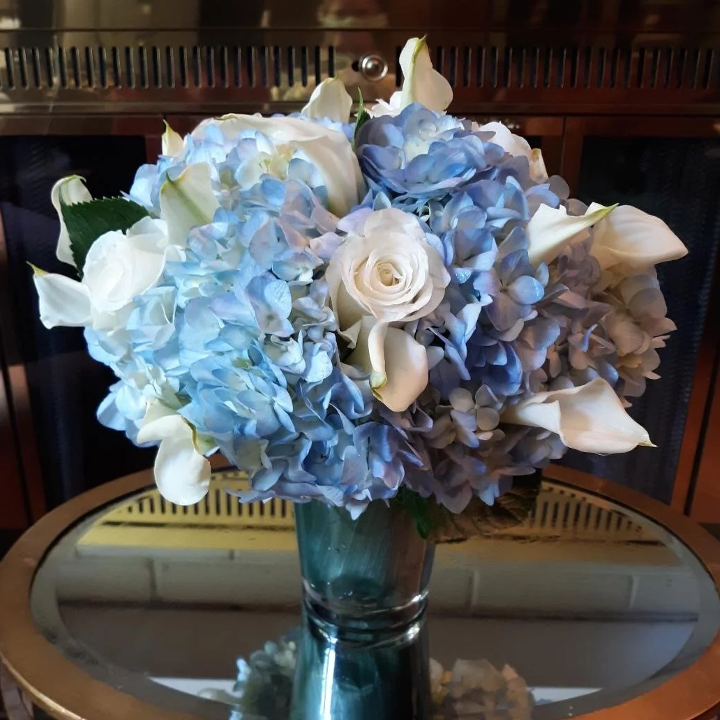 Blue Collection