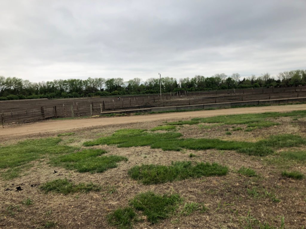 cattle-barns-3-2-1024x768.jpg