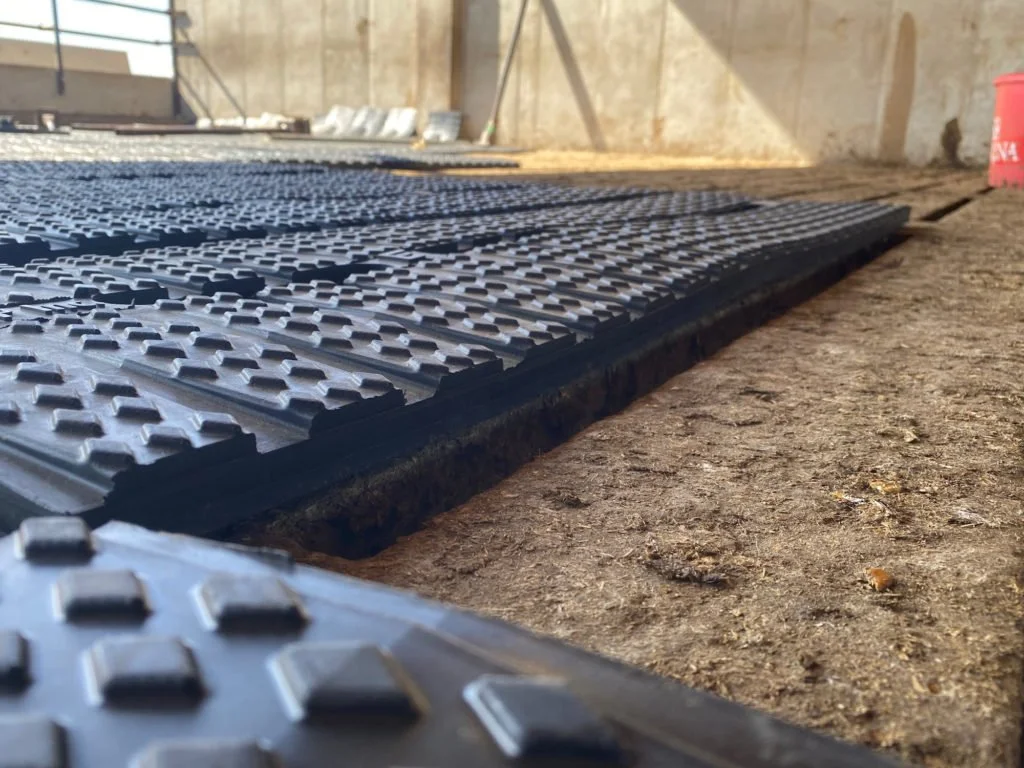 premium-cattle-rubber-2-1024x768.jpg
