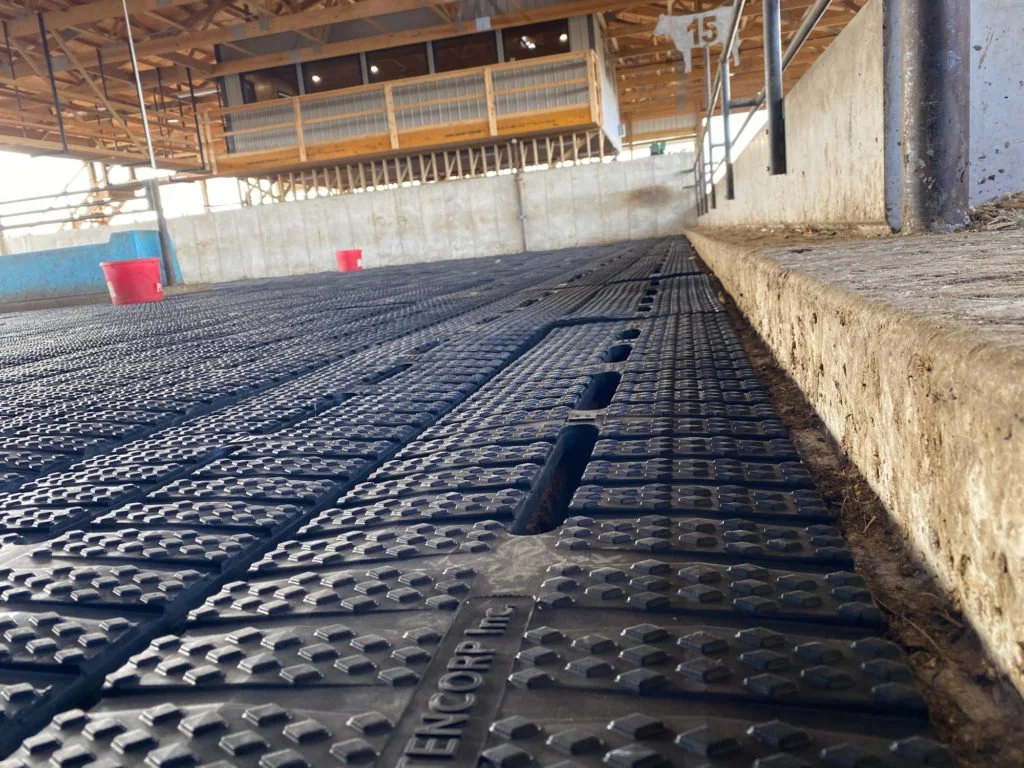 premium-cattle-rubber-3-1024x768.jpg