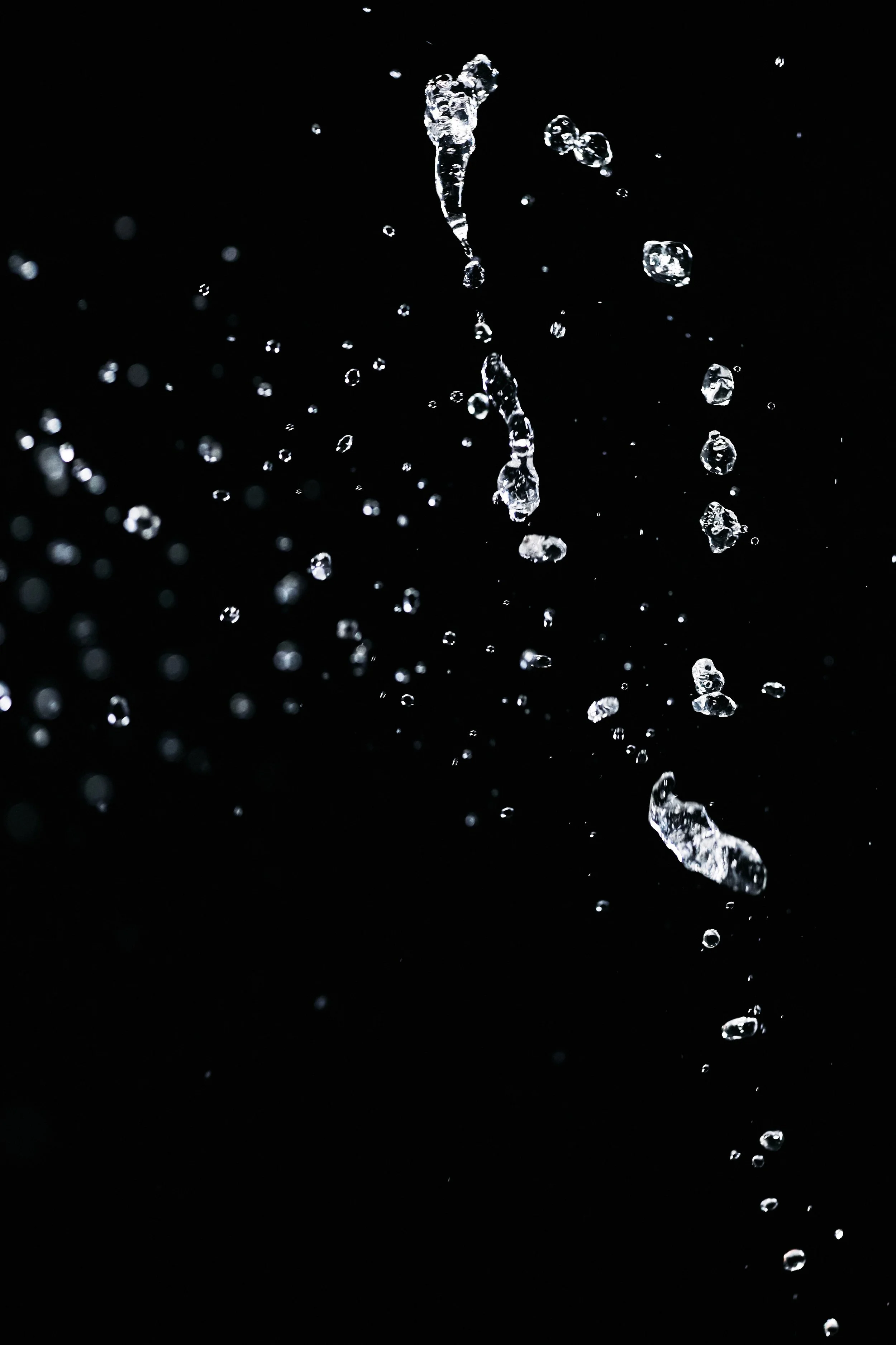 pexels-cottonbro-9667643.jpg