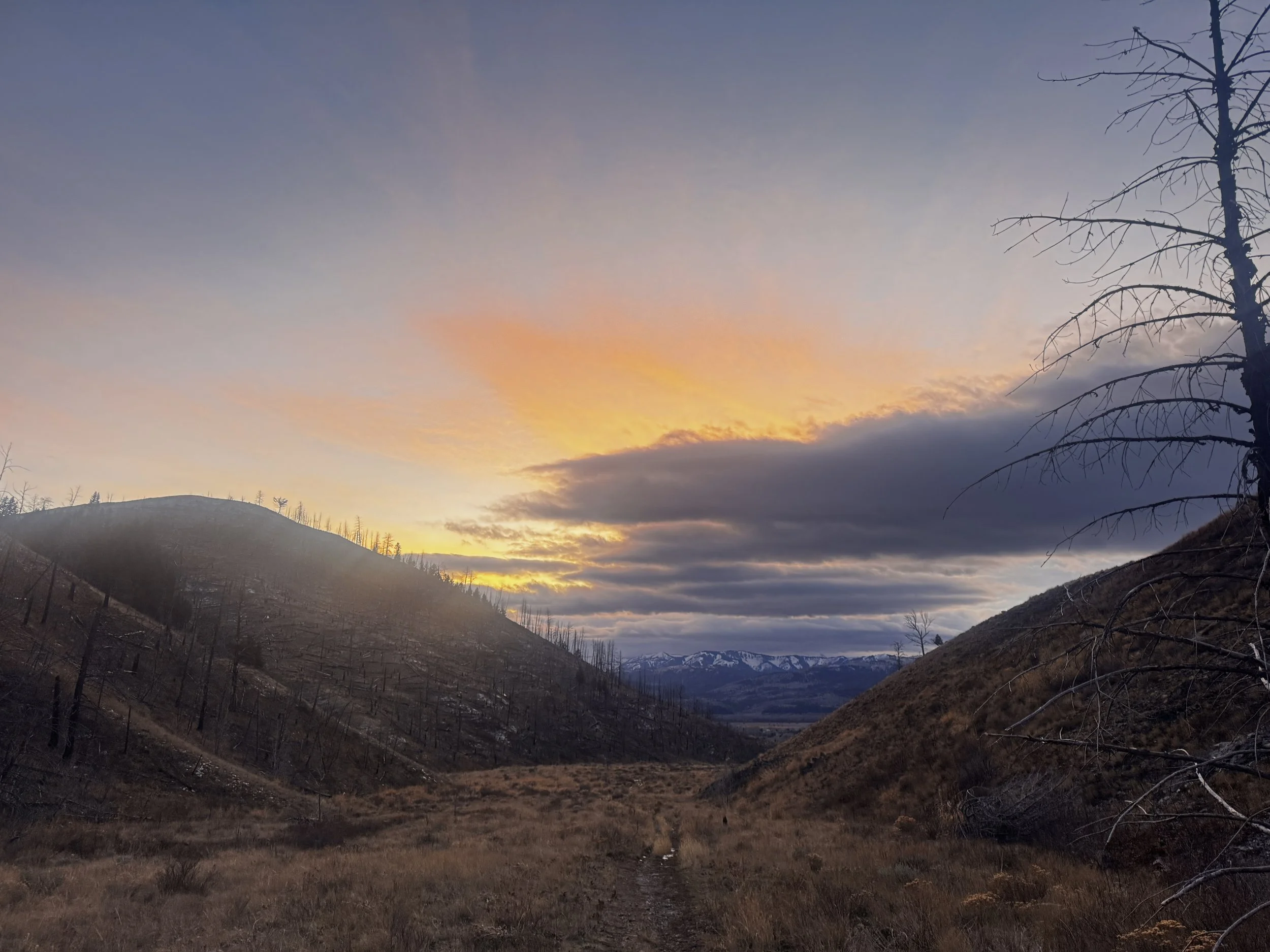 A valley with brown, dry hills and a small stream in the foreground, under a sunset sky with clouds and a tree silhouette on the right.