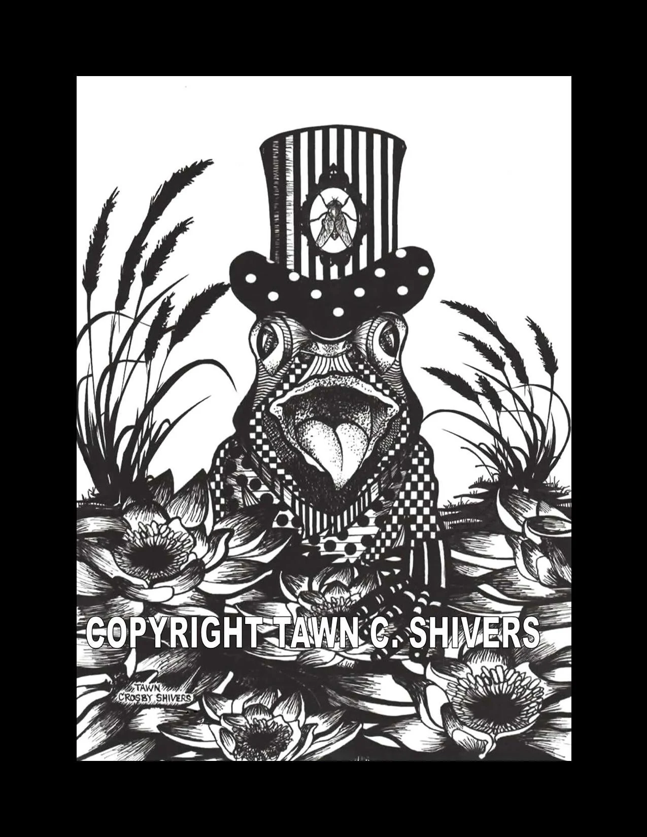 FROG WEARING TOP HAT FRAGMENTATION