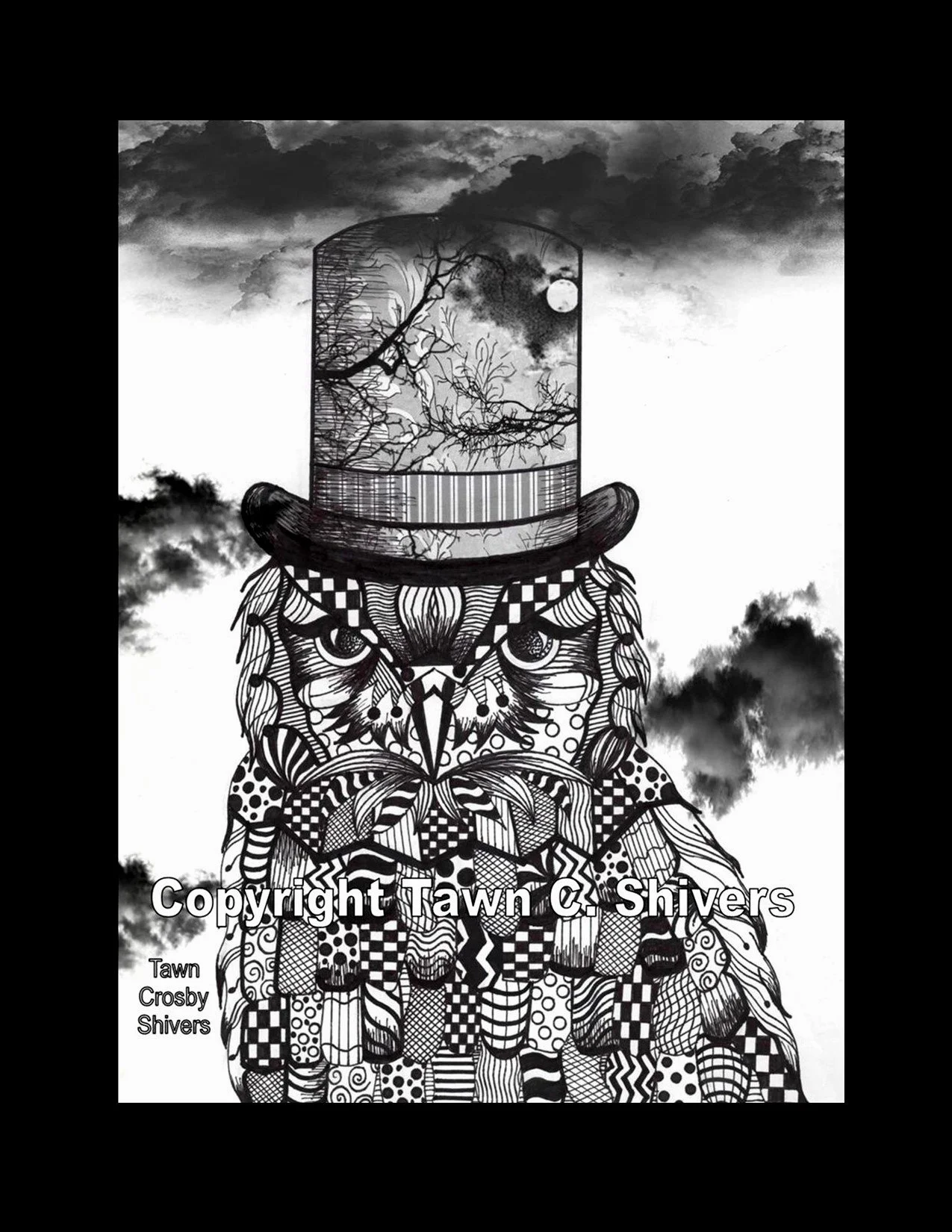 OWL WEARING TOP HAT FRAGMENTATION