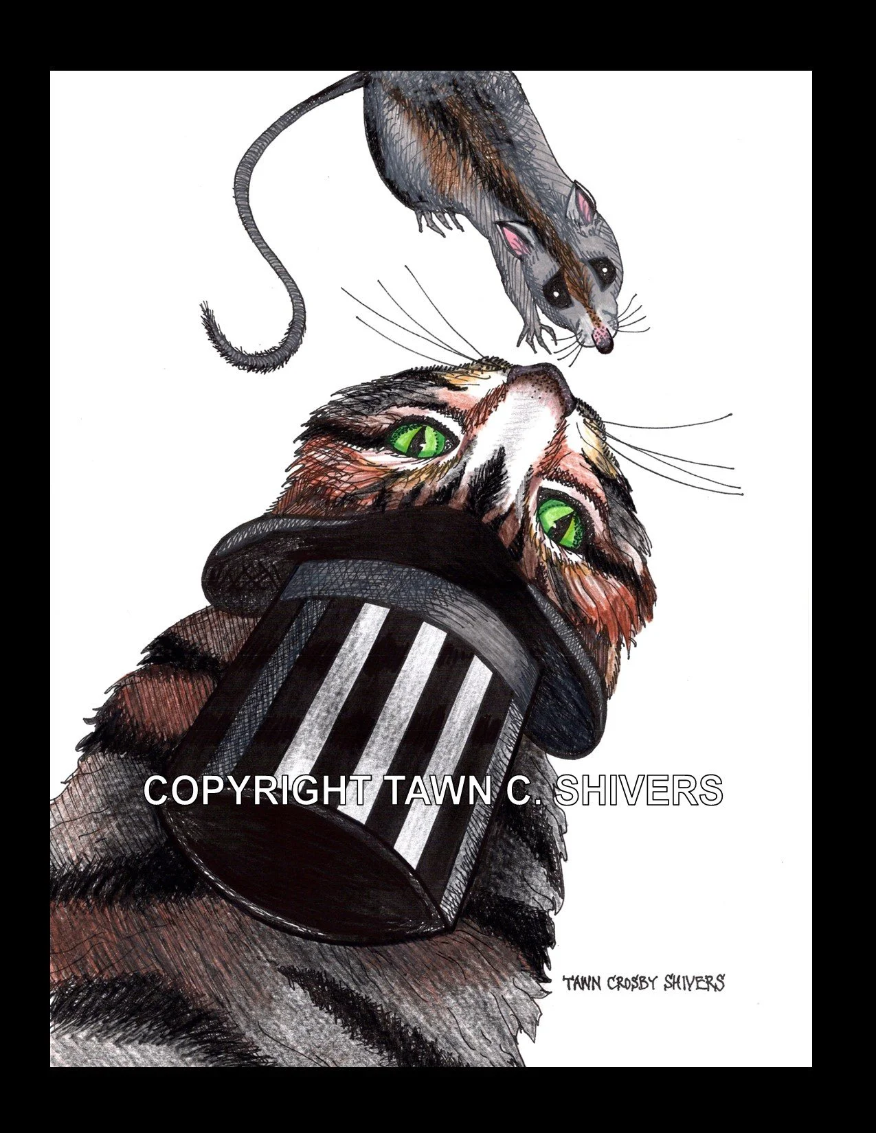 CAT AND RAT - FRIEND OR FOE?