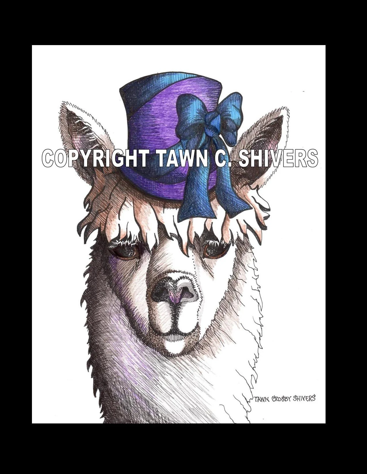 ALPACA WEARING TOP HAT