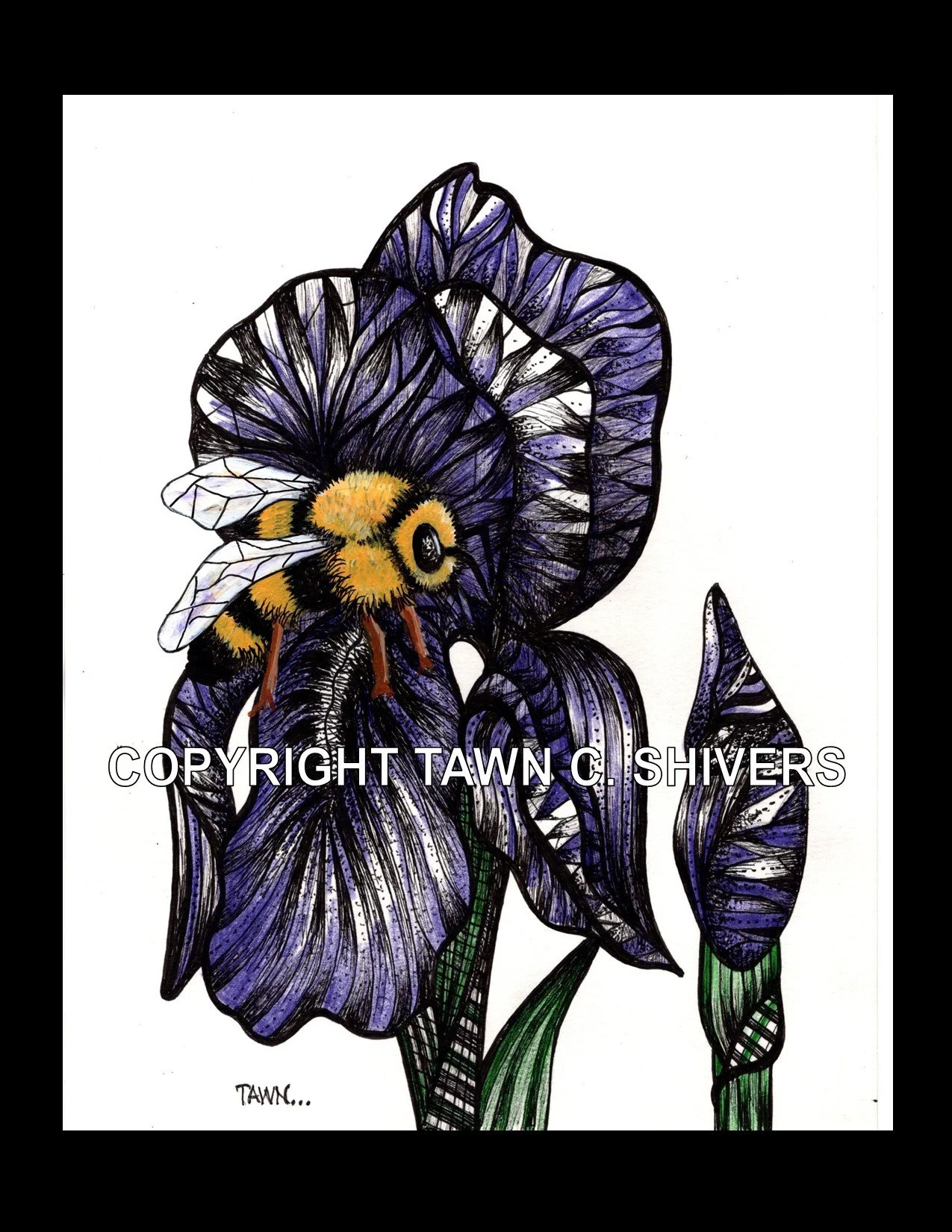 FRAG BEE IRIS CPYRT MAT.jpg