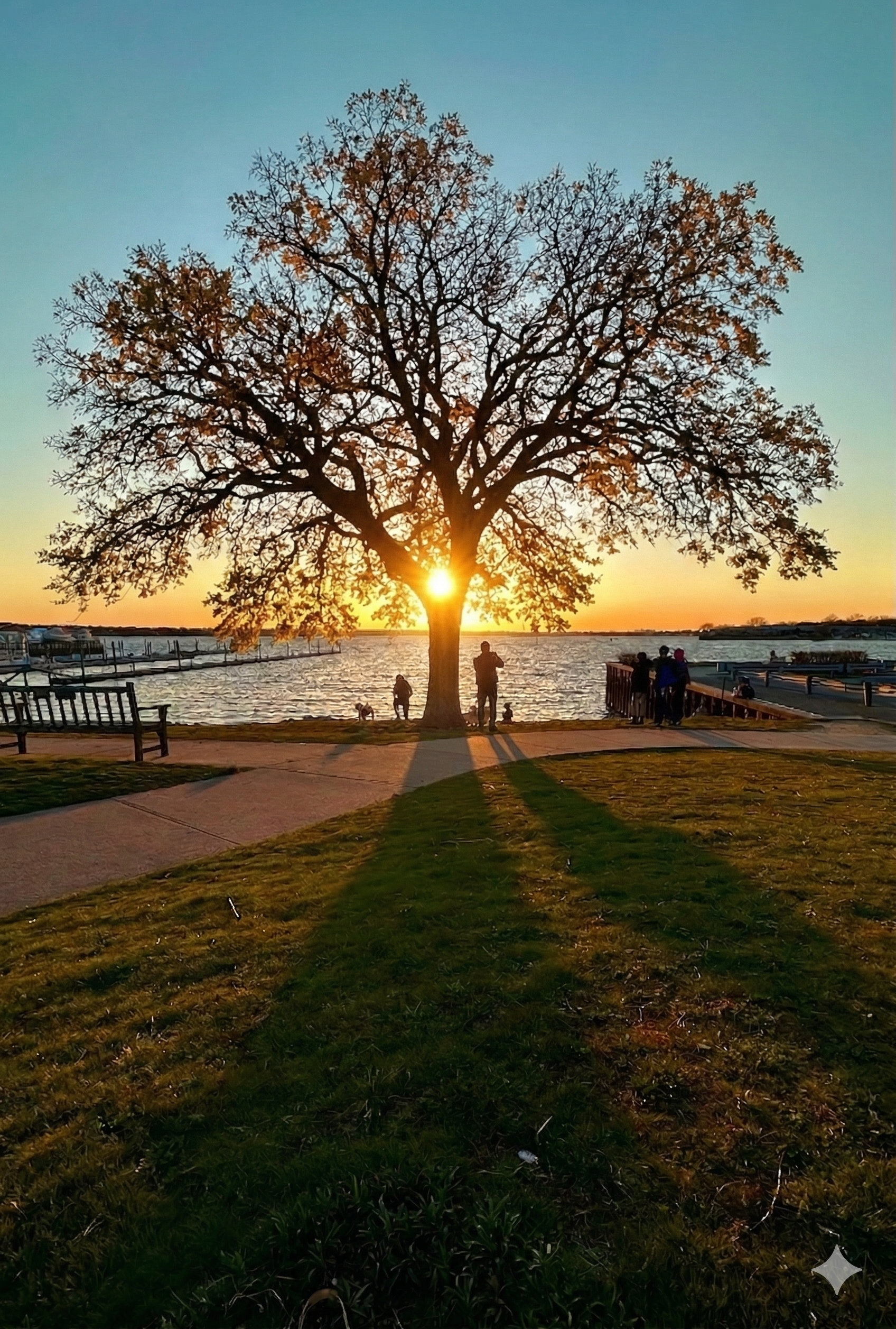 Tree by a water body during sunset with people on a walkway and benches in the foreground.