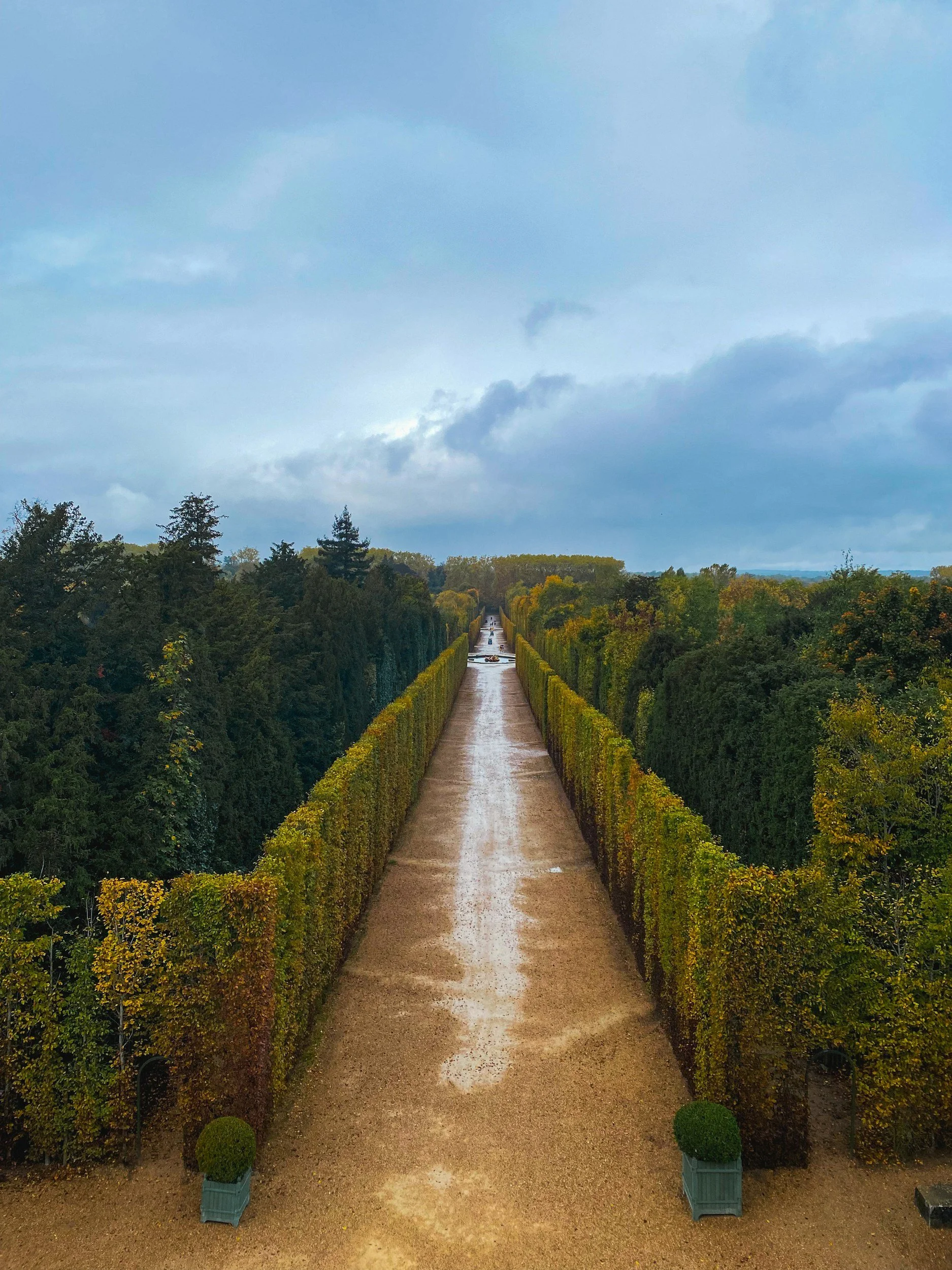 Long straight pathway lined with lush green trees on both sides, leading into the horizon with a cloudy sky overhead.