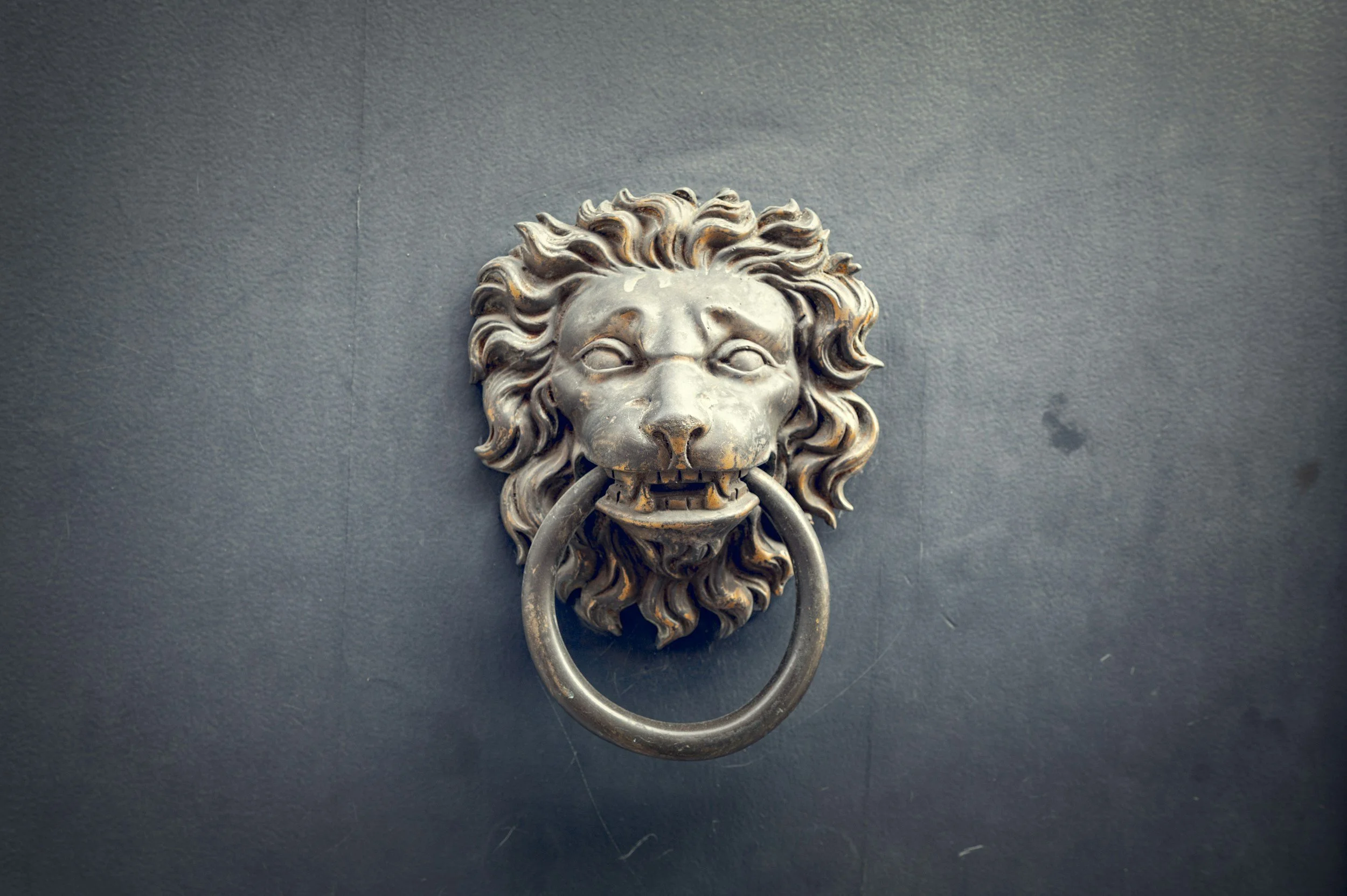 Close-up of a metal lion-shaped door knocker with a ring in its mouth, mounted on a dark wall.
