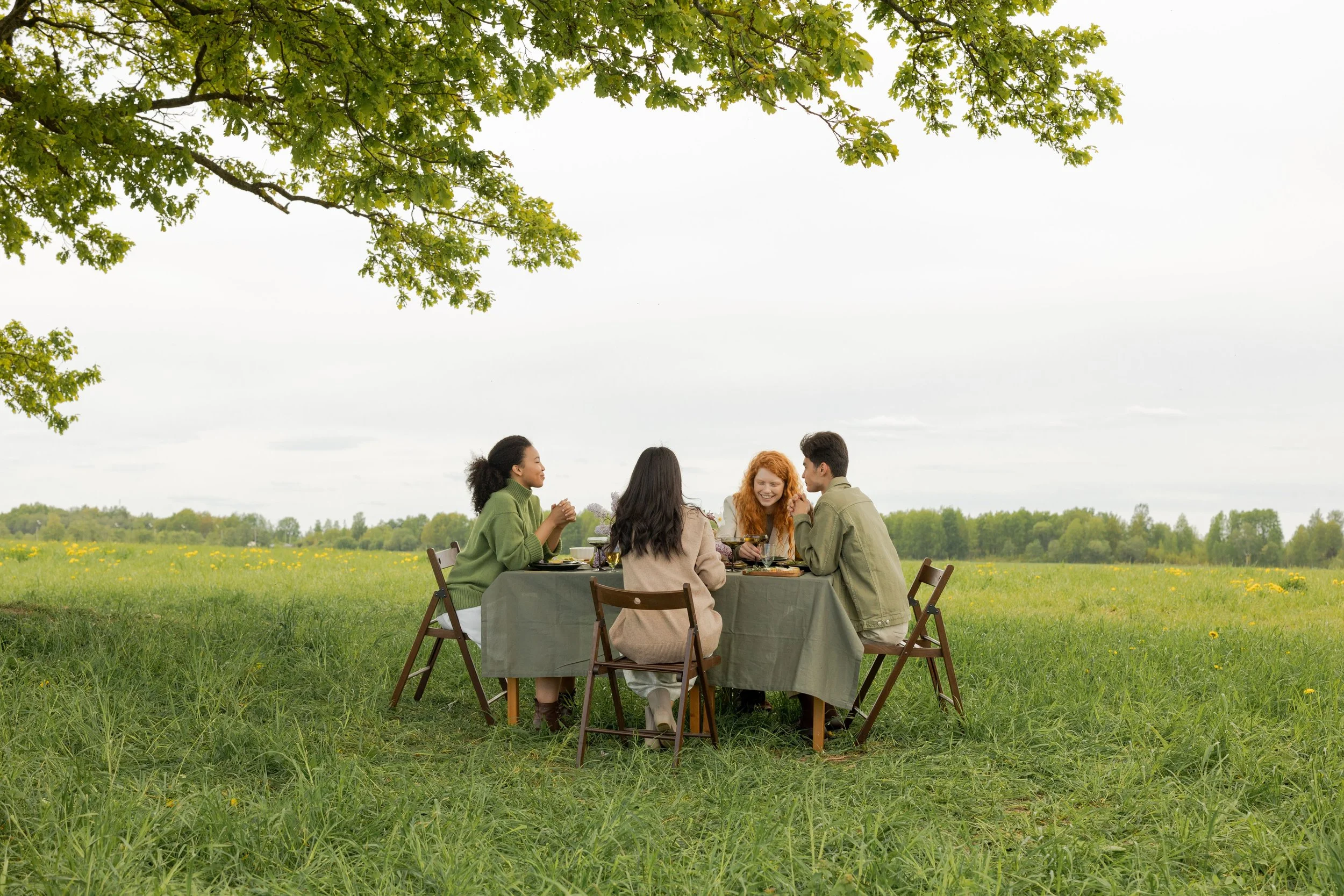 Repas entre proches dressé dans une prairie en Haute-Savoie