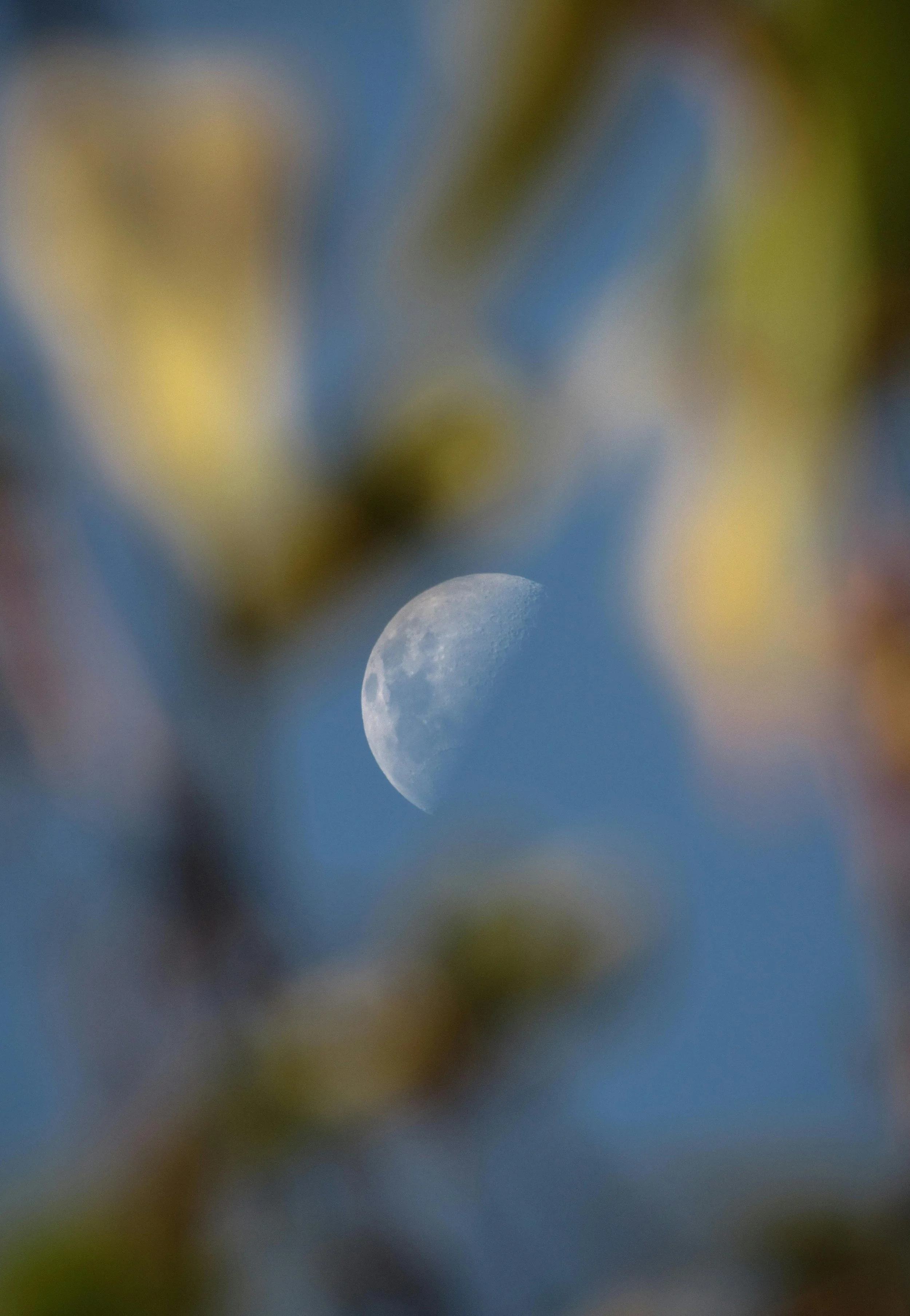 The image features a close-up view of the moon with a clear, blue sky in the background.