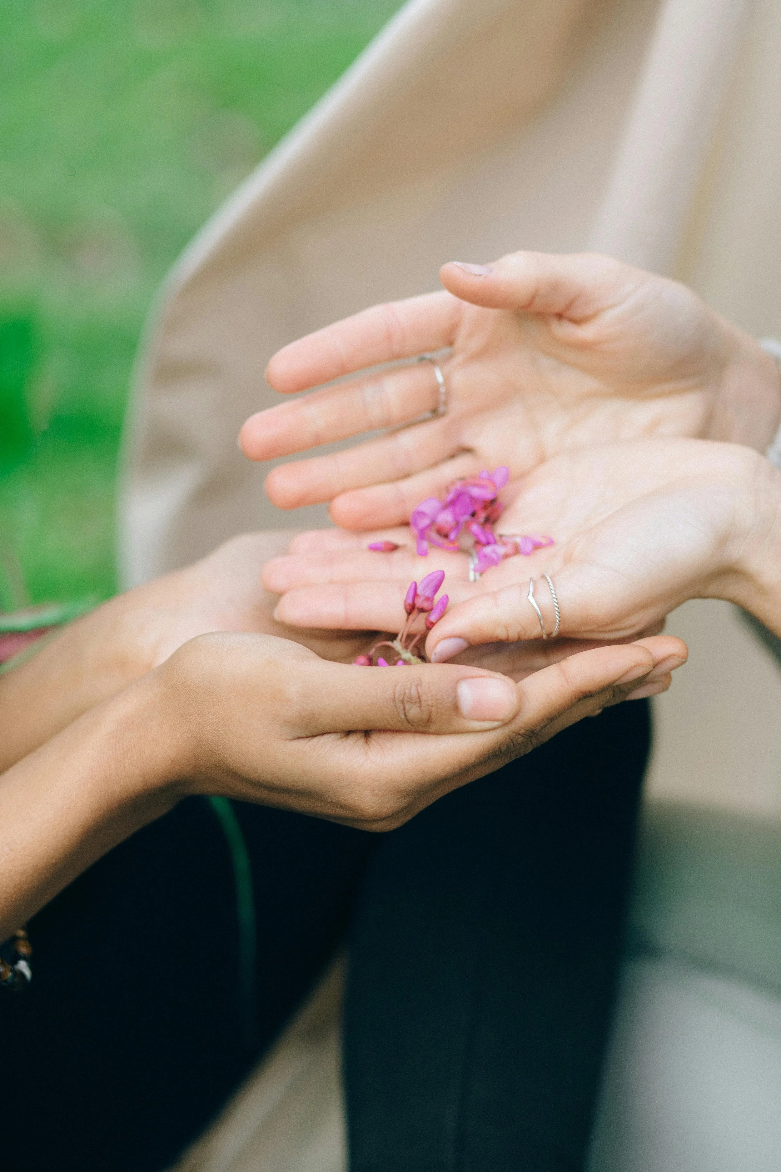Close-up of hands holding pink flower petals, one person wearing rings and jewelry, with a blurred background.