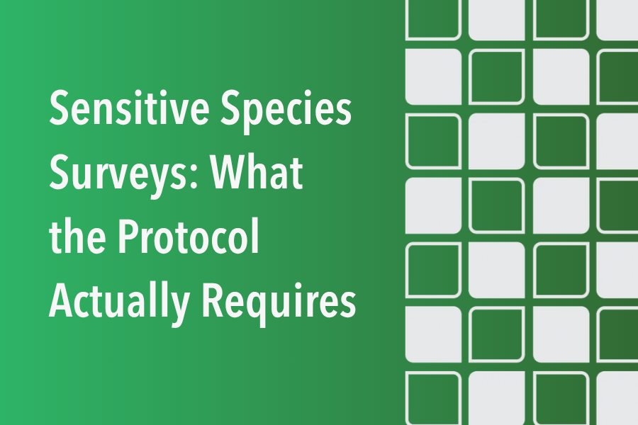 Sensitive Species Surveys: What the Protocol Actually Requires