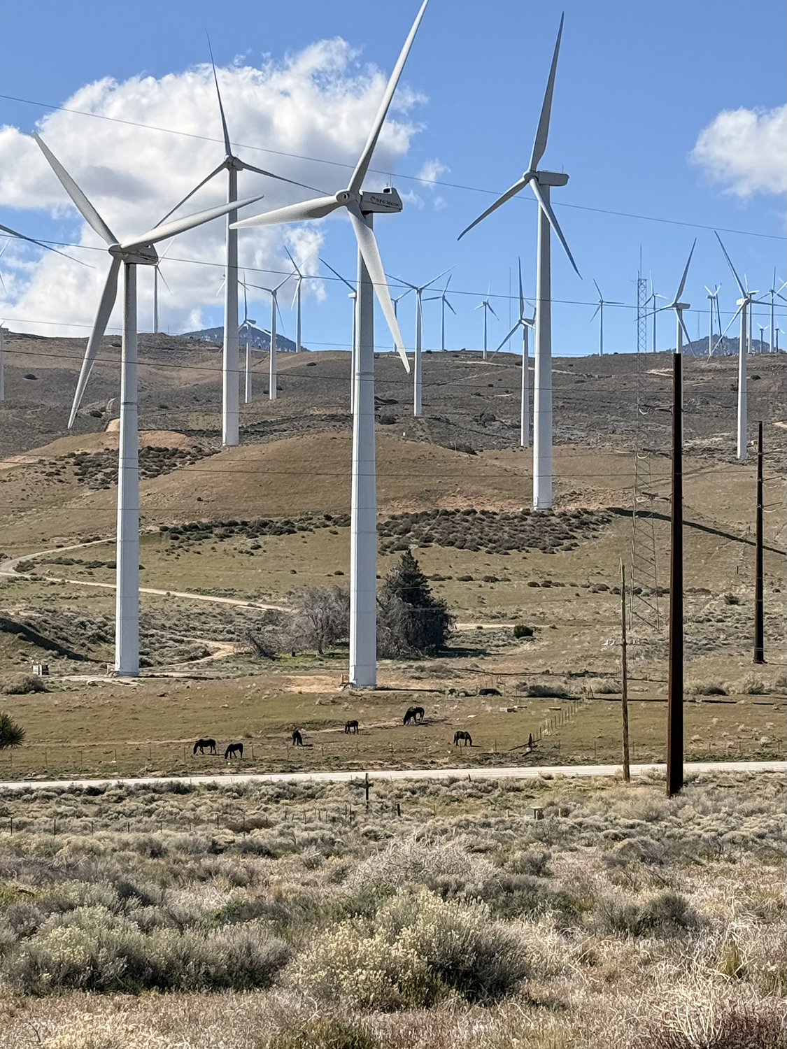Wind turbines on hills with horses grazing in the foreground.