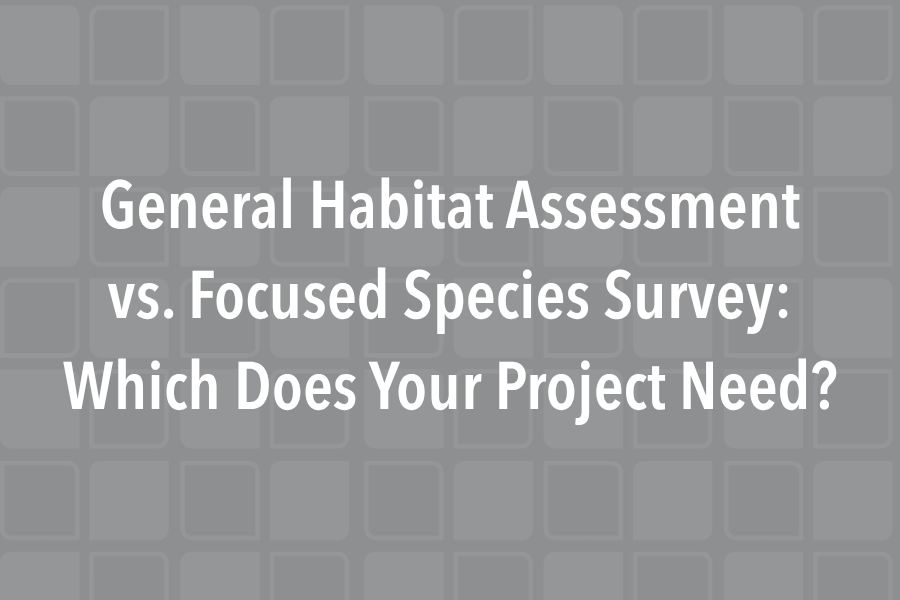 General Habitat Assessment vs. Focused Species Survey: Which Does Your Project Need?