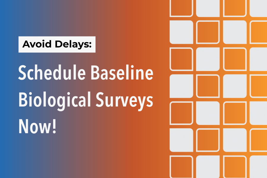 The Ideal Time to Conduct Baseline Biological Surveys Is Now