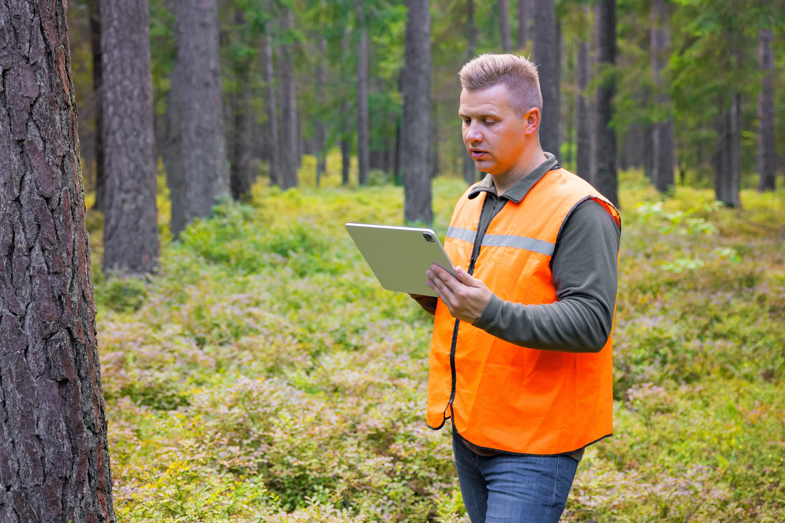 A man in an orange safety vest standing in a forest, looking at a tablet device.