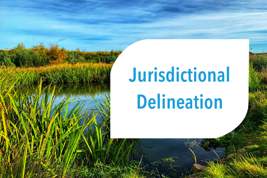 What is Jurisdictional Delineation?