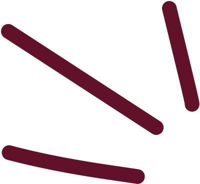 Abstract black background with three reddish-brown curved lines and one straight line.