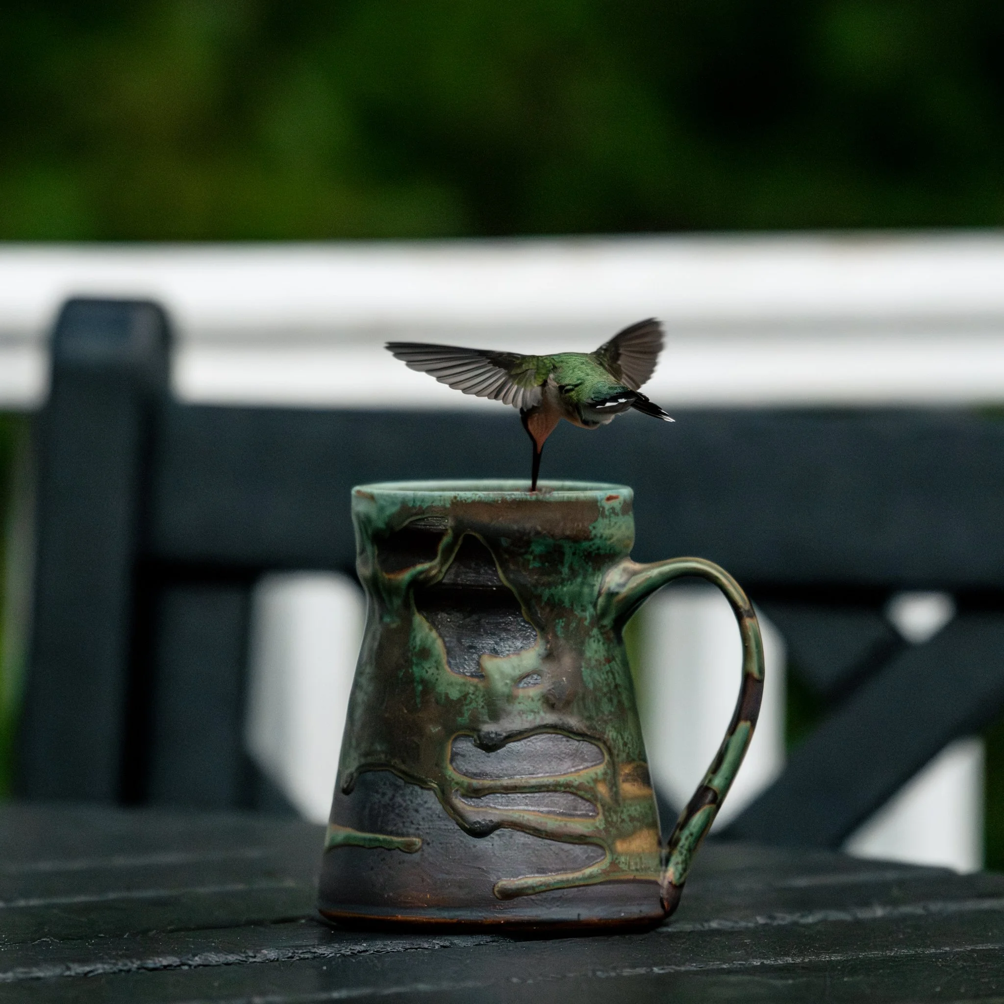 Aaron_Hummingbird_coffee_Sept'25_small.jpg