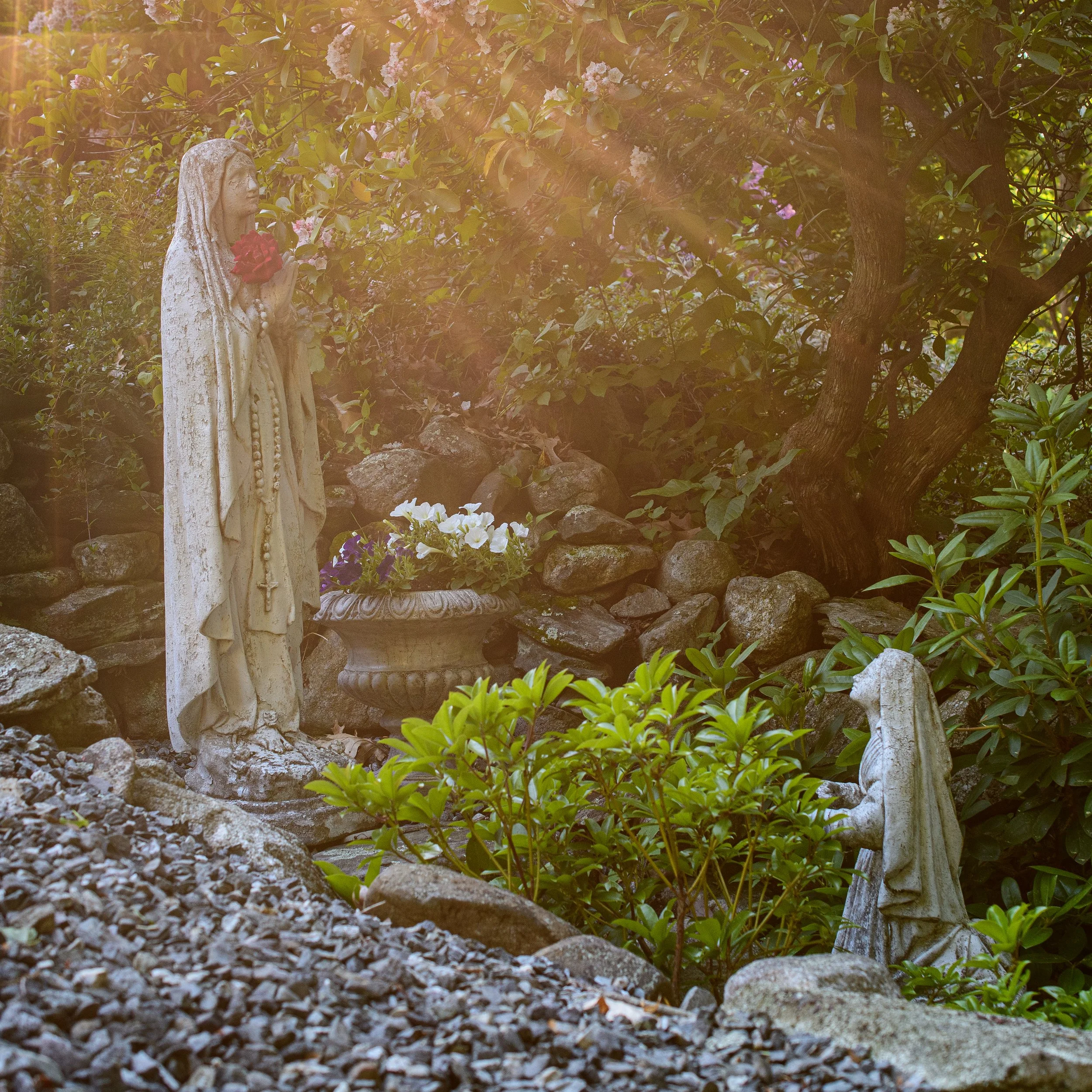 Aaron_Our Lady of Lourdes backyard grotto_1x1.jpg