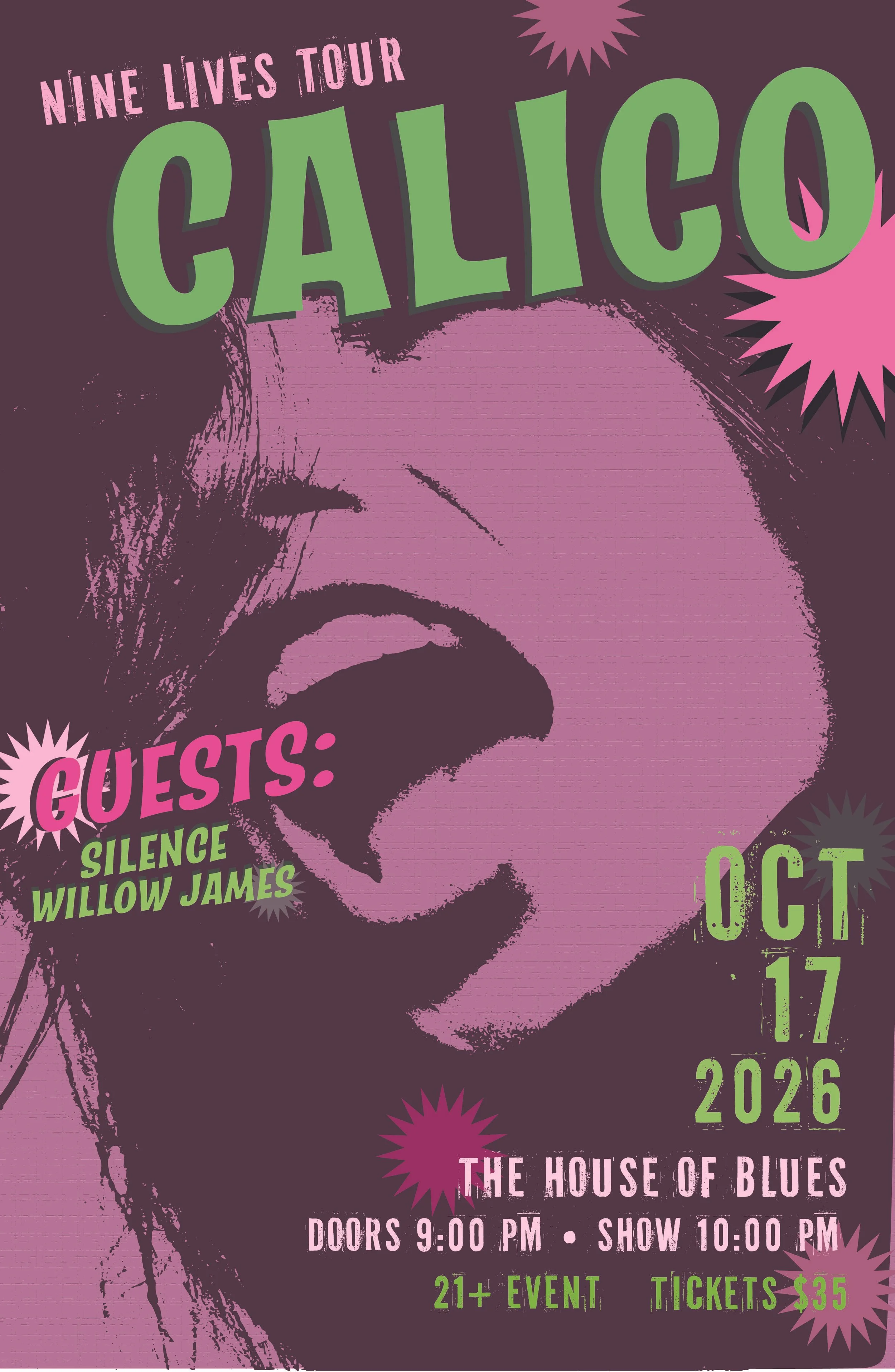 A Concept Concert Poster - Designed in Adobe Illustrator