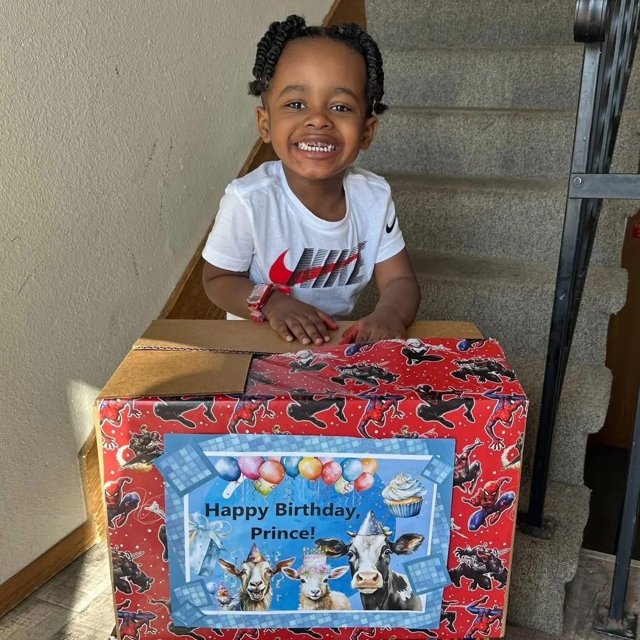 So excited to receive a birthday party in a box.  The SMILE says it all....JOY!