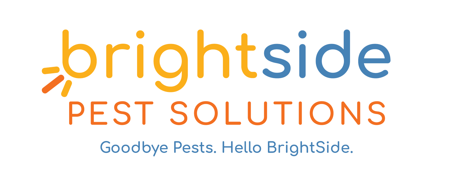 BrightSide Pest Solutions