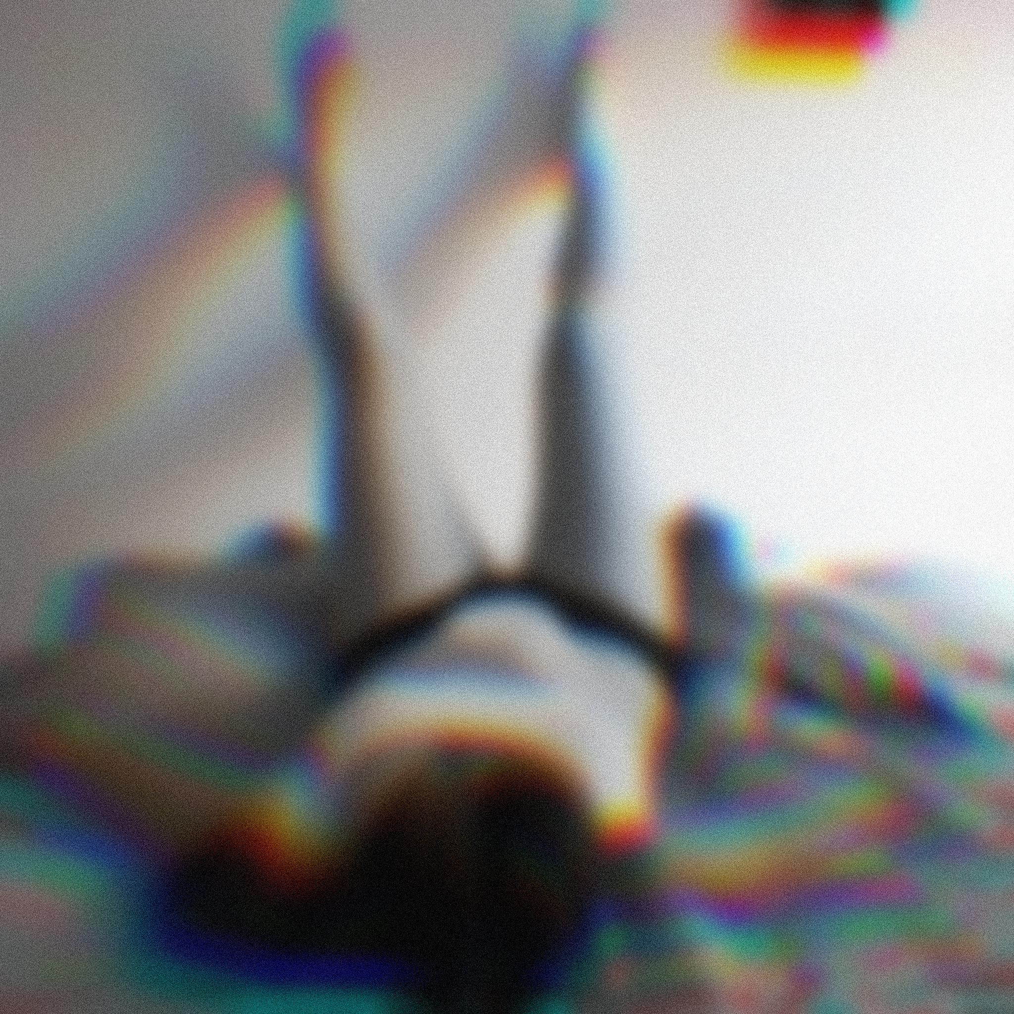 IMG_2927.png