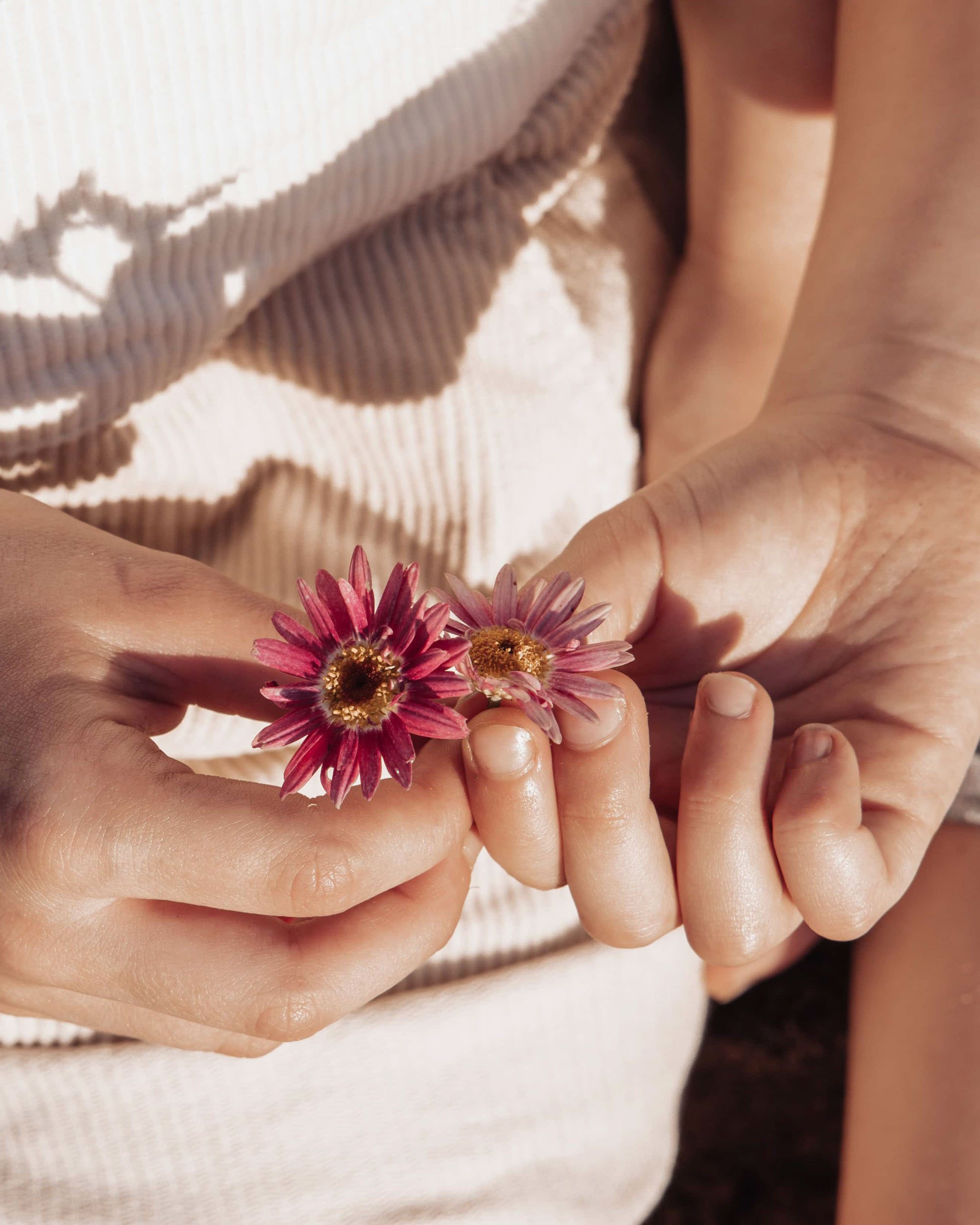 Close-up detail of child holding flowers captured by Sydney family photographer Georgie Meadows Creative  