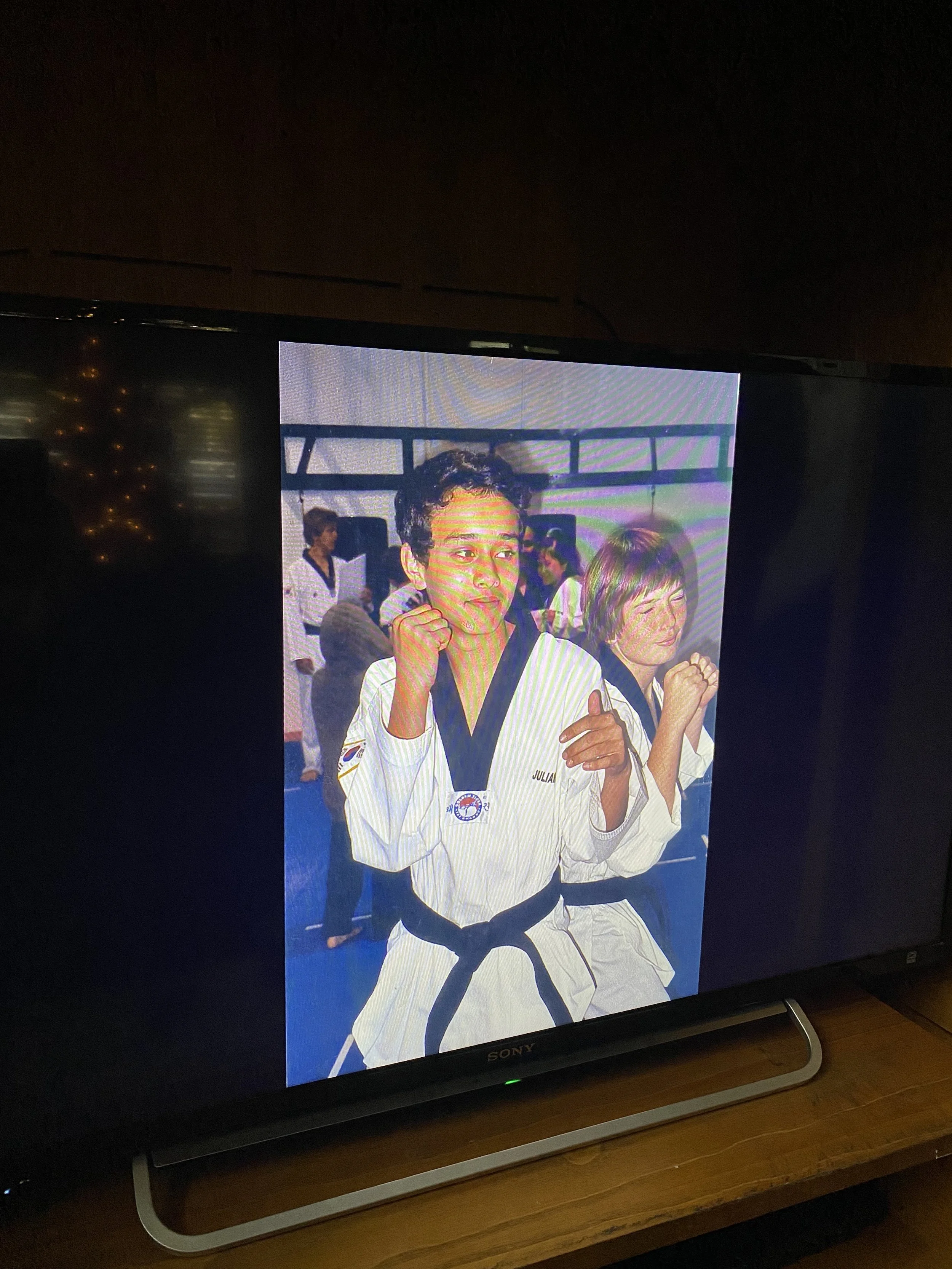 Fun fact, I'm a 2nd degree black belt.