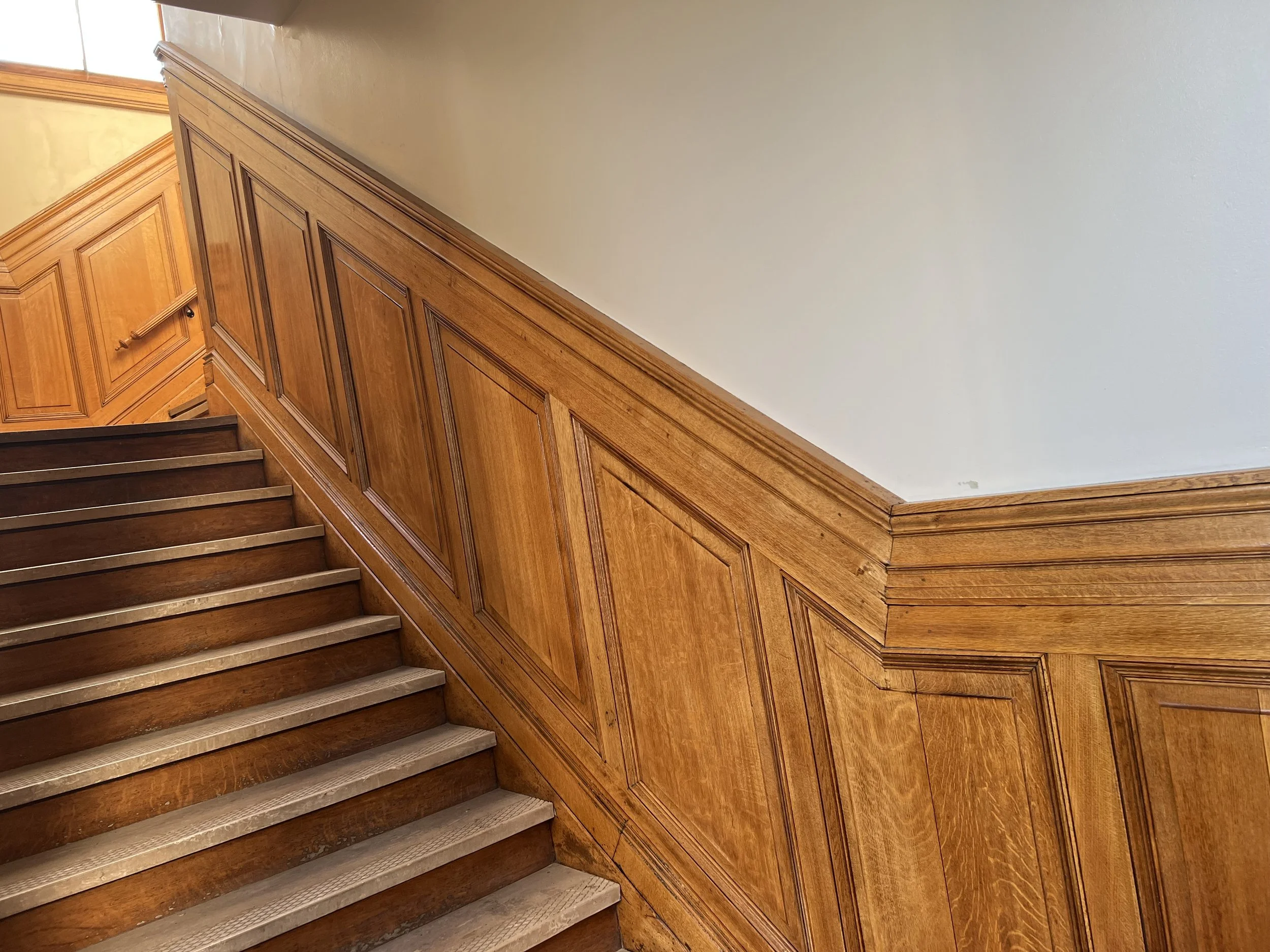 Wooden staircase with dark brown steps and a decorative wooden wainscot wall paneling along the side, with a section of a white wall and ceiling visible.