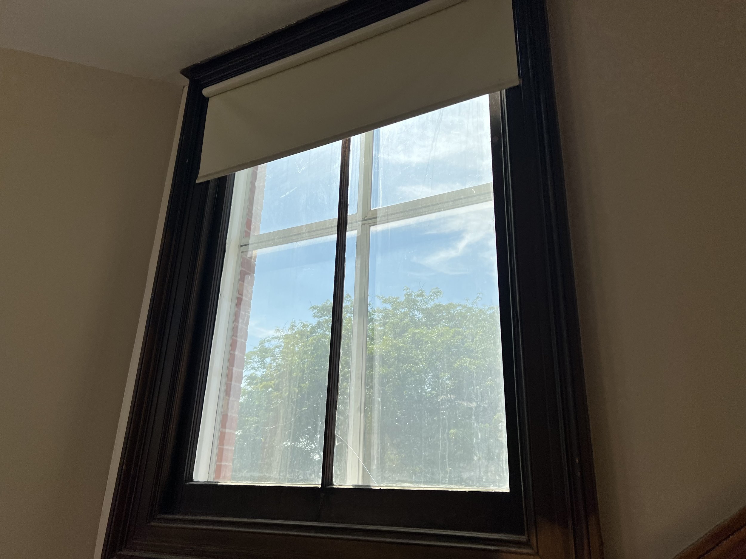 View of a window with black trim showing a blue sky with some clouds and green trees outside.