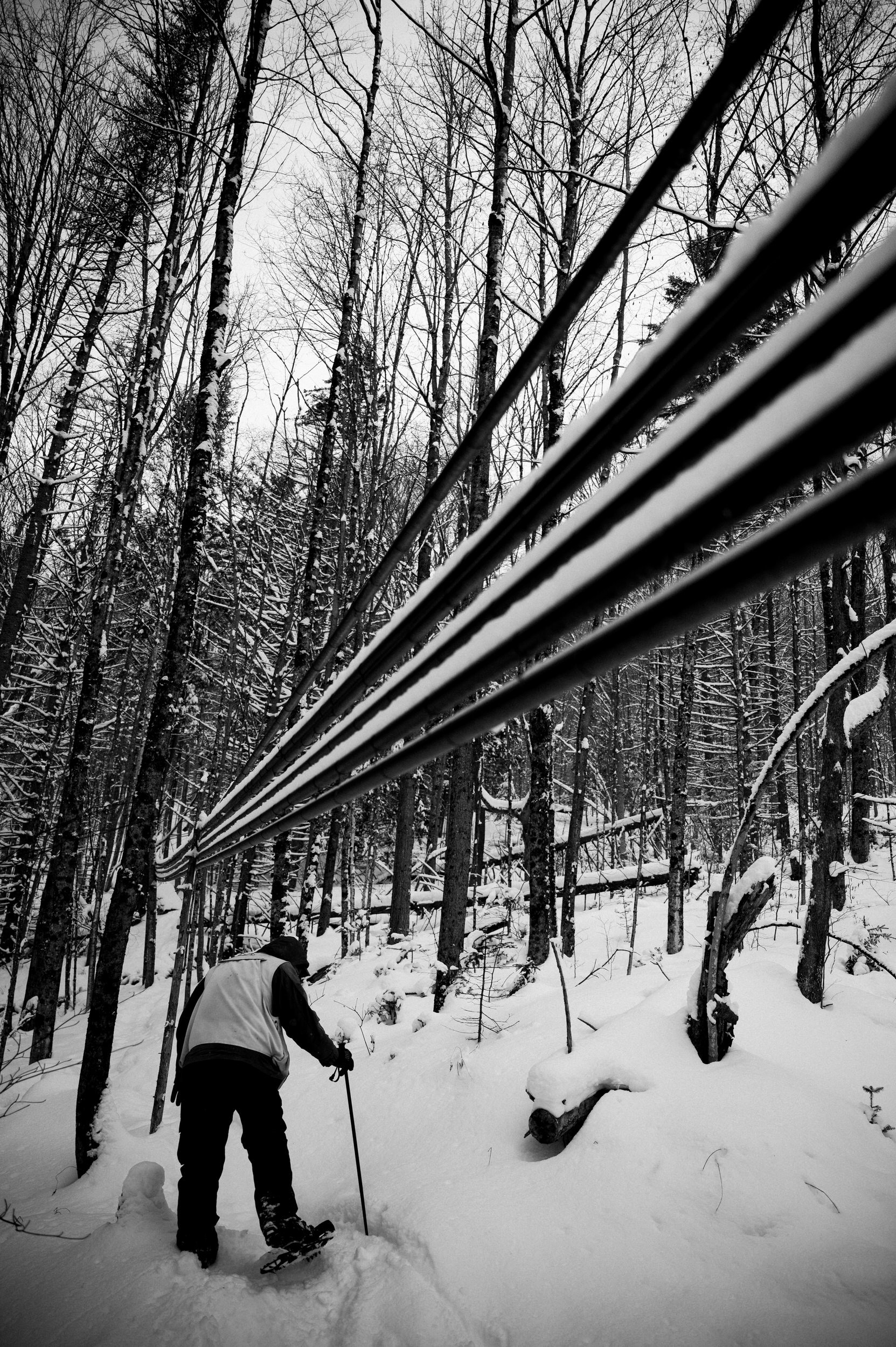 Maple Syrup Making 0030.JPG