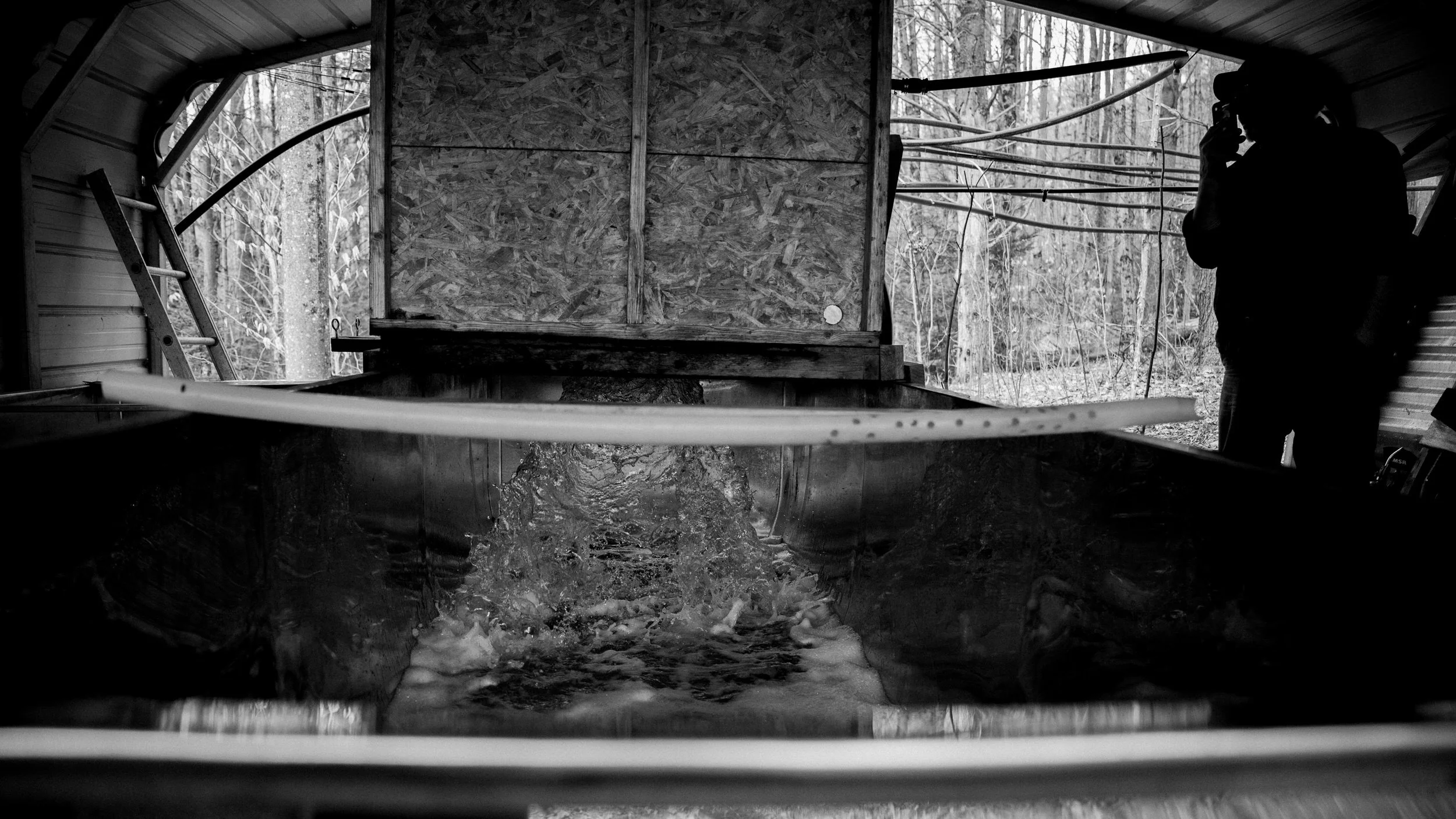 Maple Syrup Making 0106.JPG