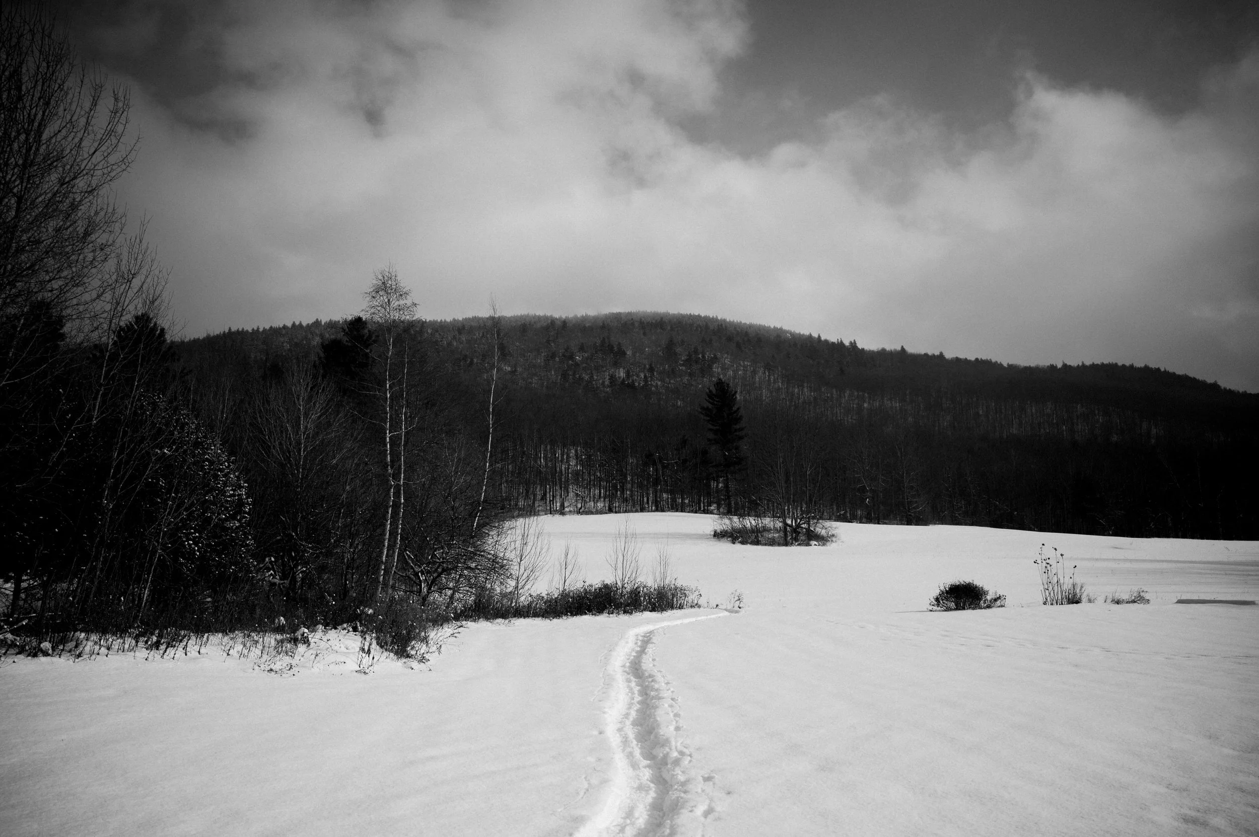 Maple Syrup Making in Elmore Vermont