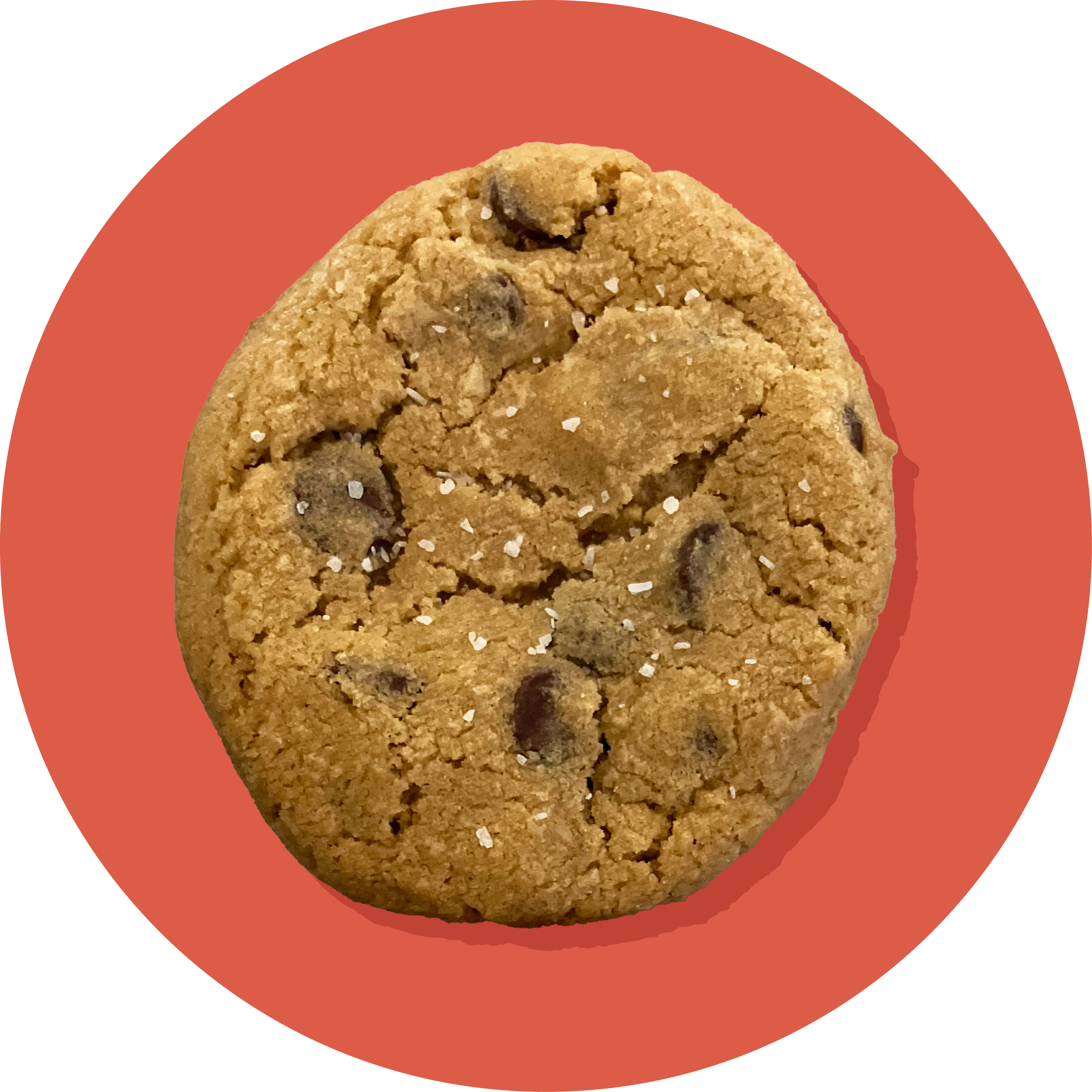 Jack's Chocolate Chip