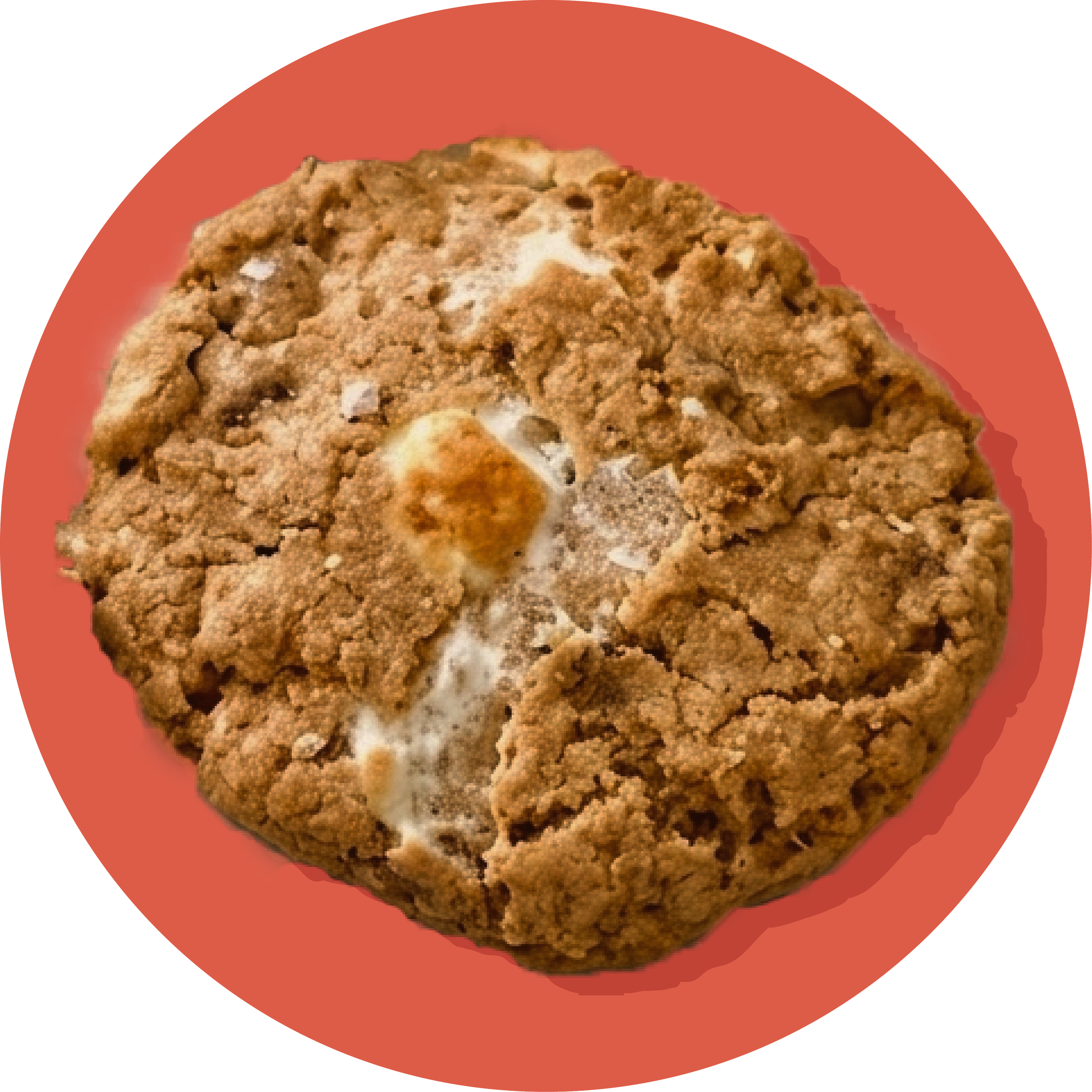 Marshmallow Chocolate Chip.png