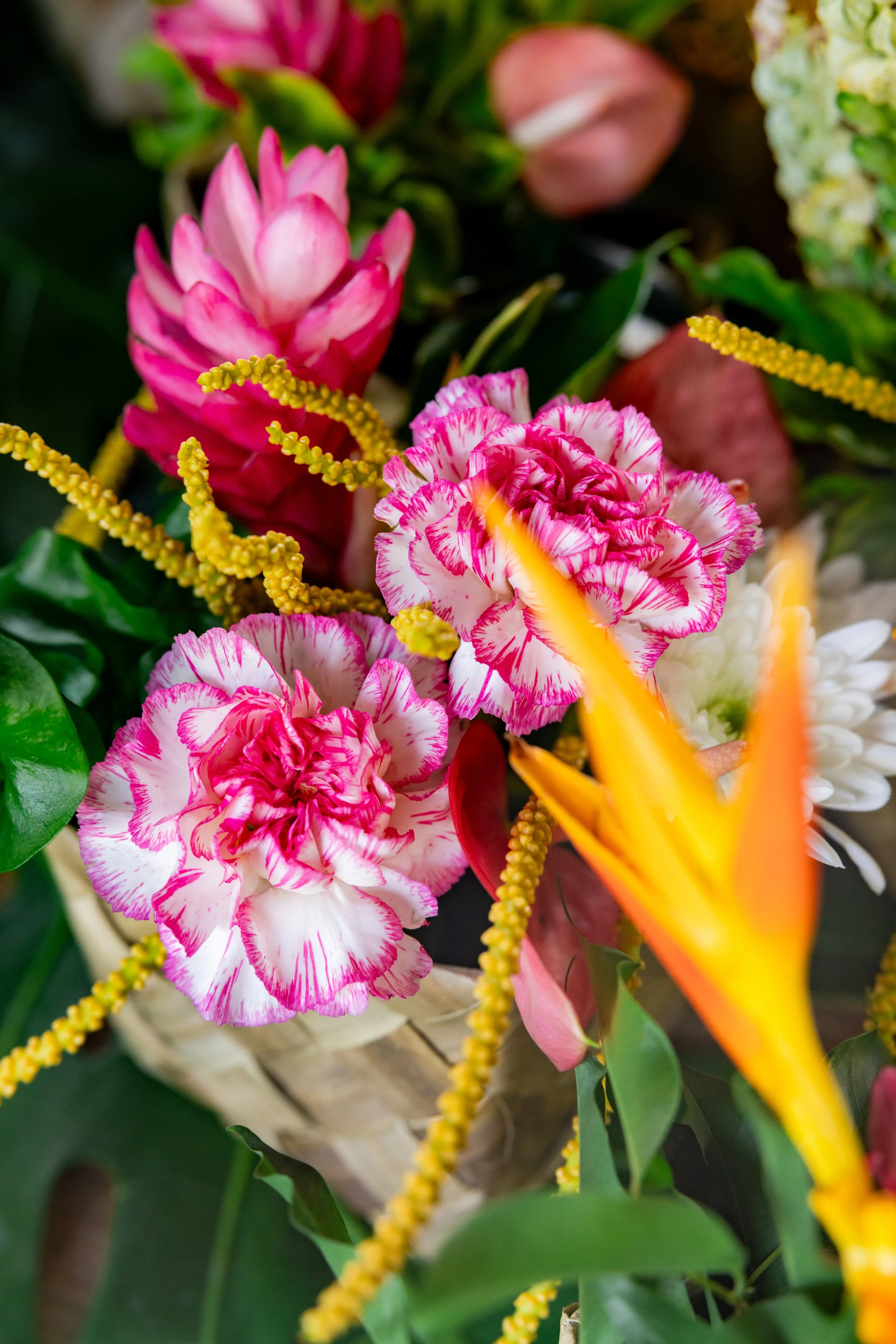 flower.jpg