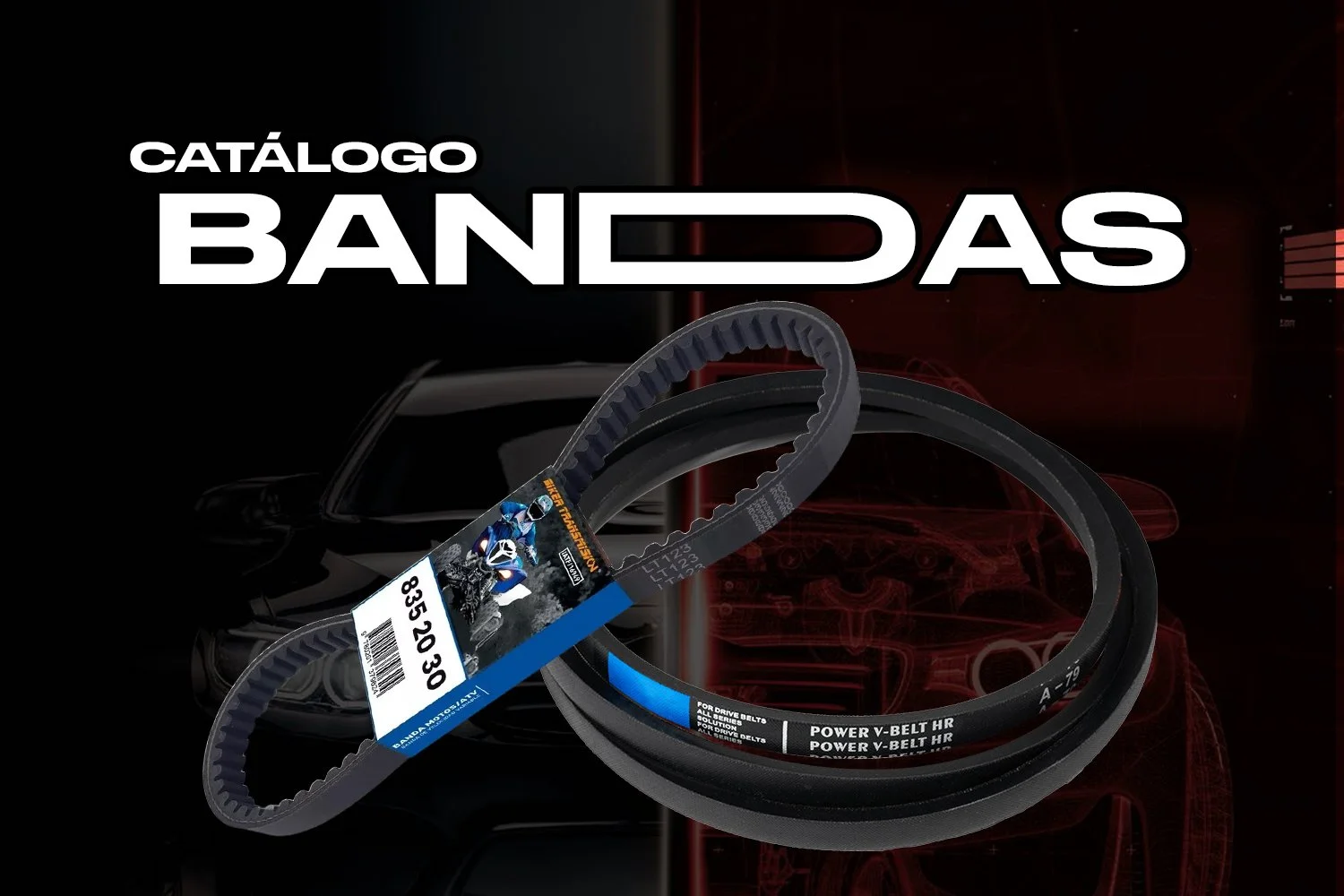 BANDAS C.jpg