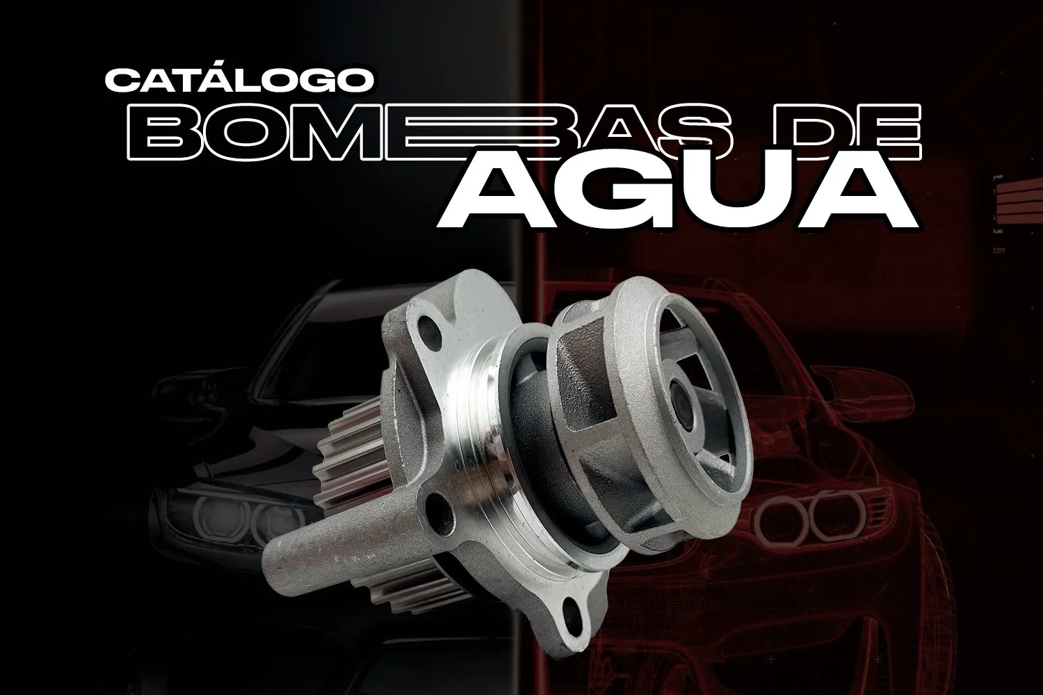 BOMBAS DE COMBUSTUBLE C copia.jpg