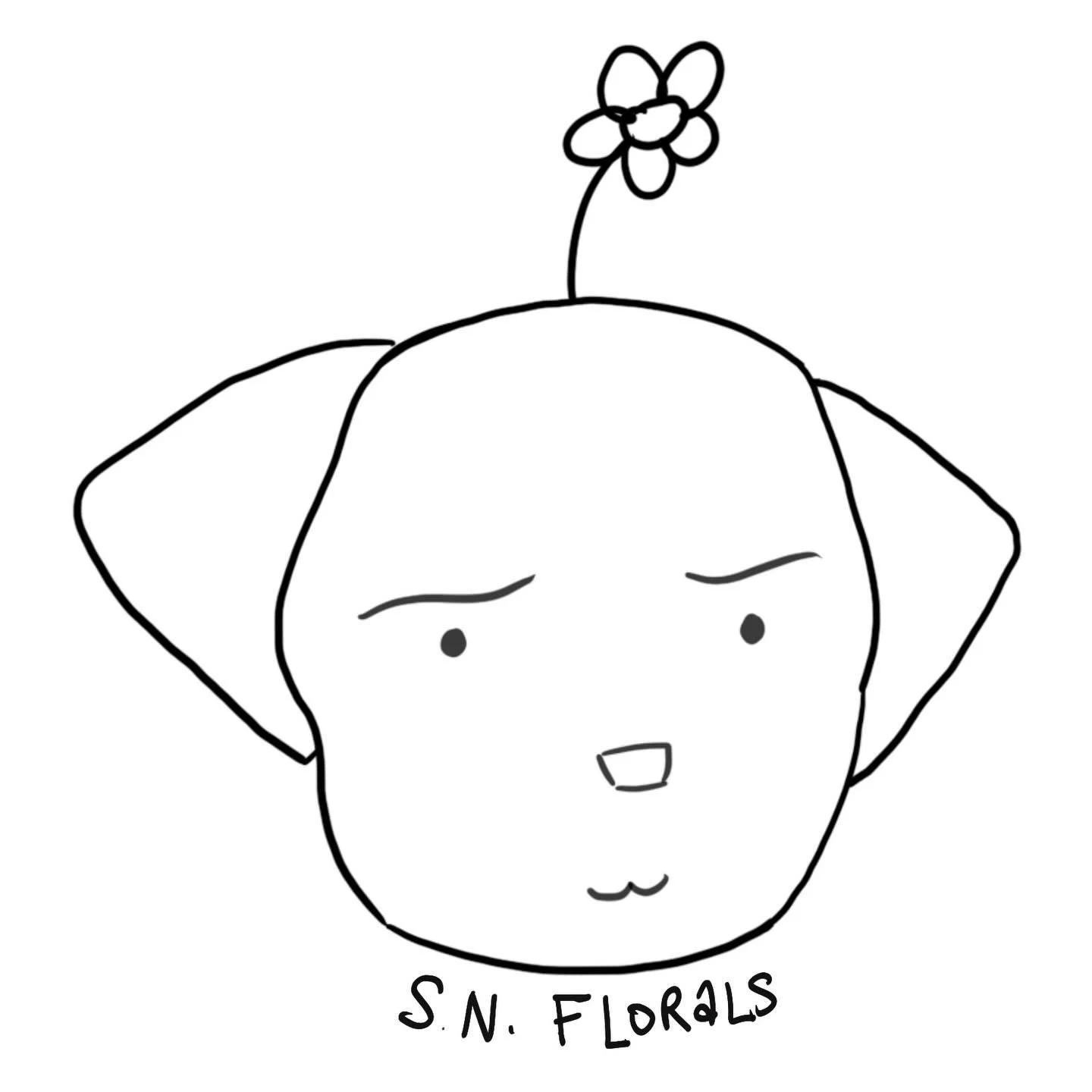 S.N. Florals 🤍
Inspired by my dog Milo, and my love for simple happiness. 
.
.
.
.
.
#florist #floraldesign #floristry #flowers #floristrystudent