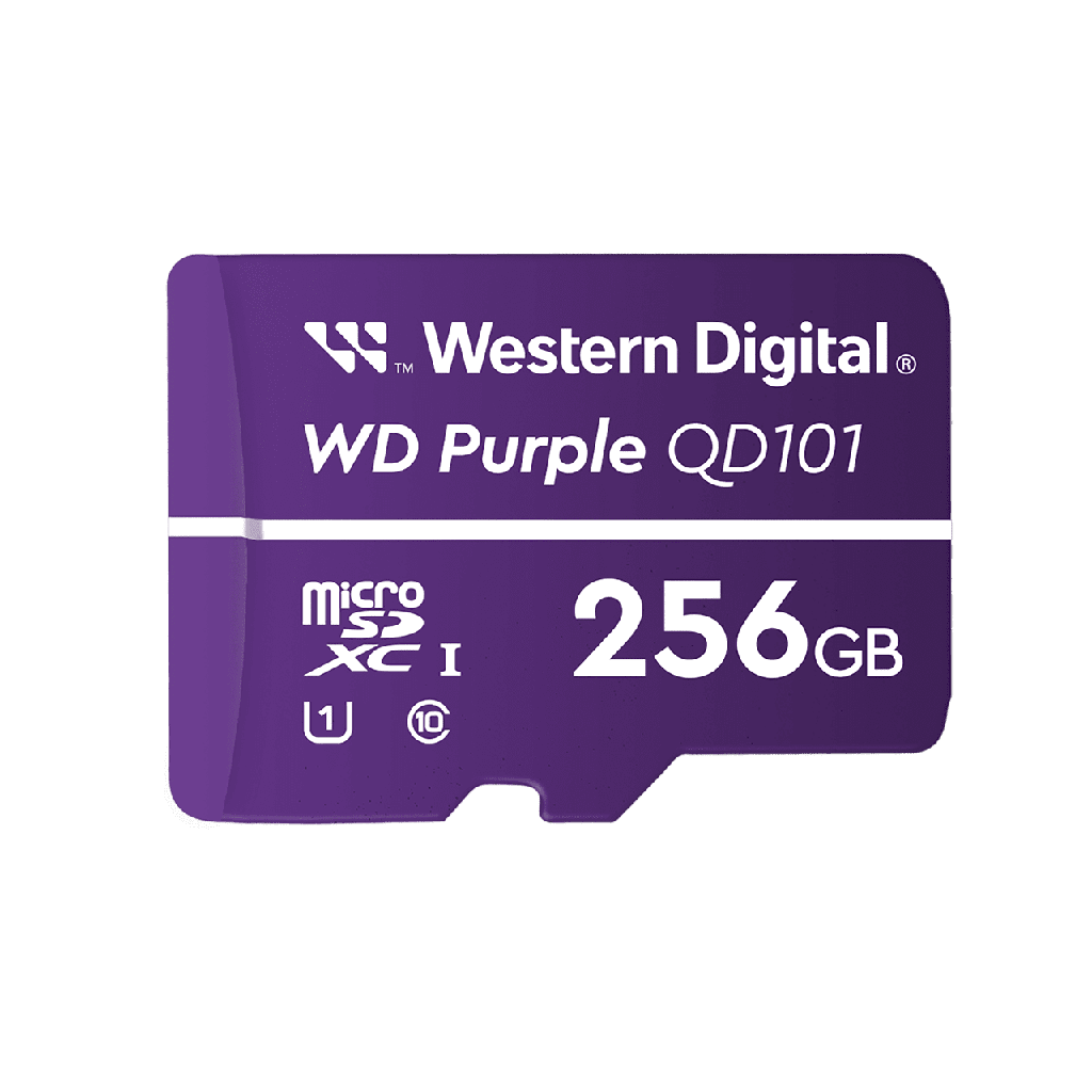 MICRO SD 256GB ESPECIAL PARA CCTV.png