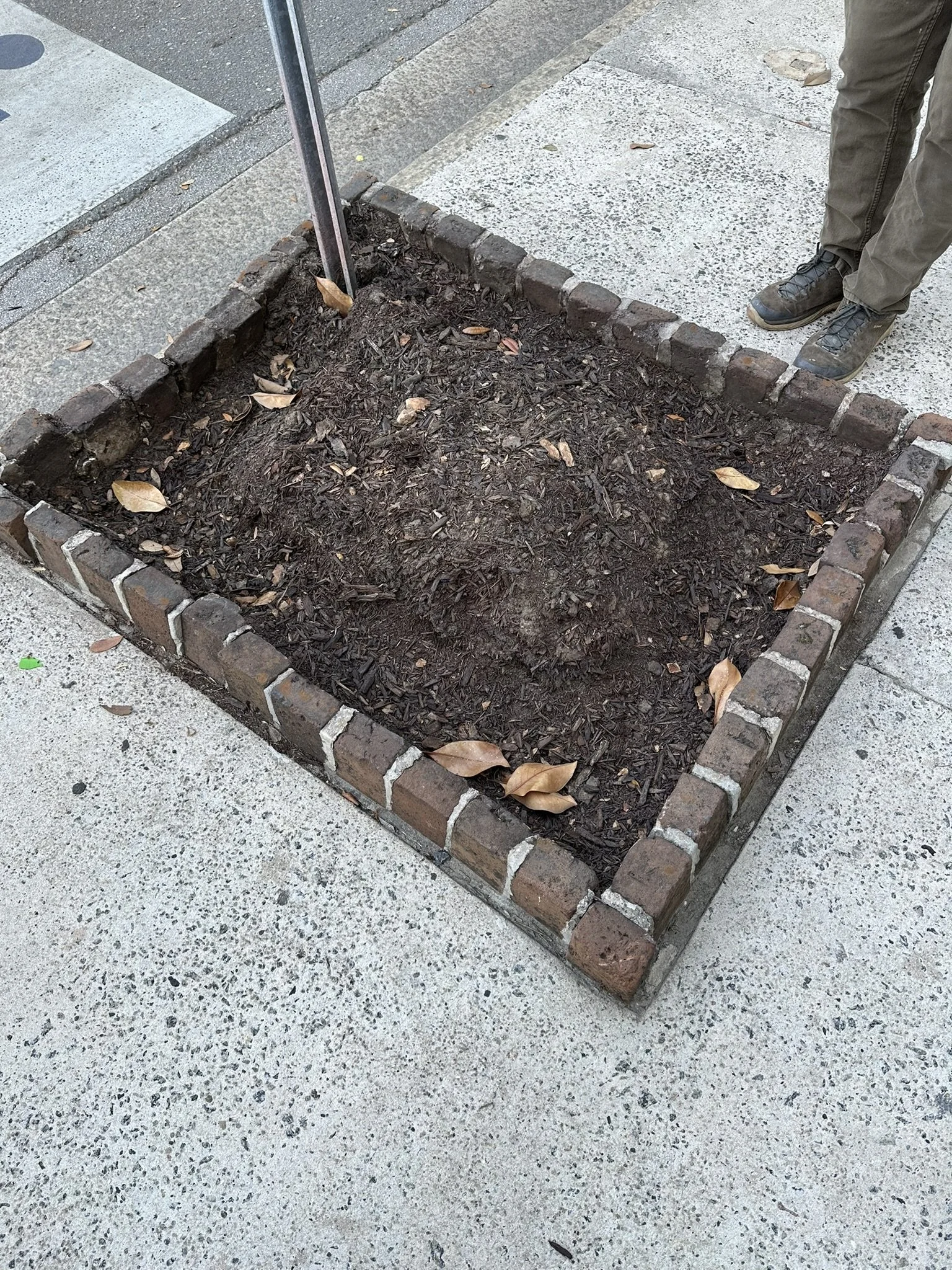 An empty small garden bed with a brick border and a metal garden stake, located on a city sidewalk with speckled concrete.