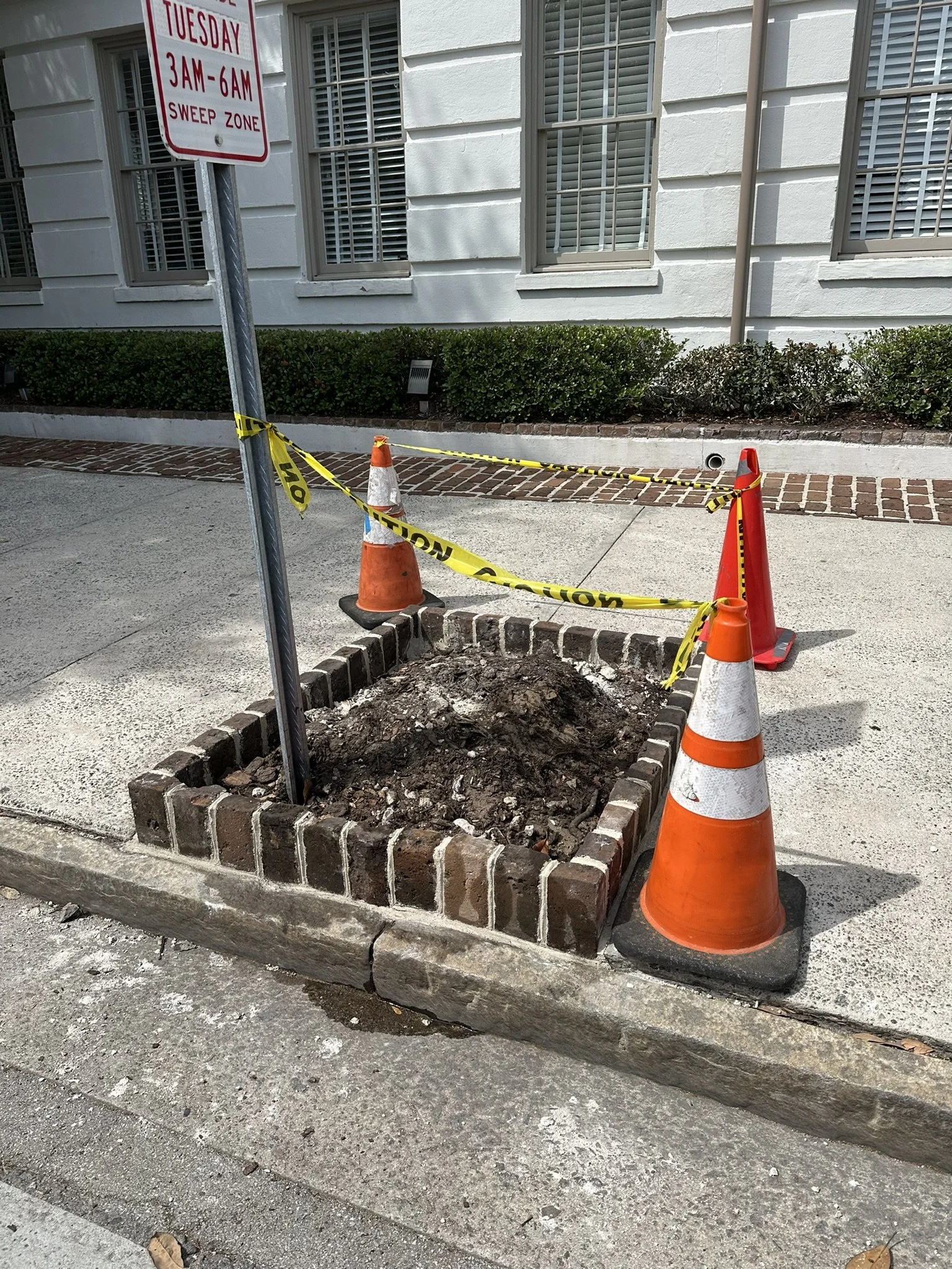 A small tree planting area with a brick border surrounded by caution tape and traffic cones on a sidewalk. There is a construction hole in the ground inside the brick border. In the background, there is a building with white walls and multiple windows with blinds. A street sign indicating a sweep zone from 3 AM to 6 AM on Tuesdays is visible.
