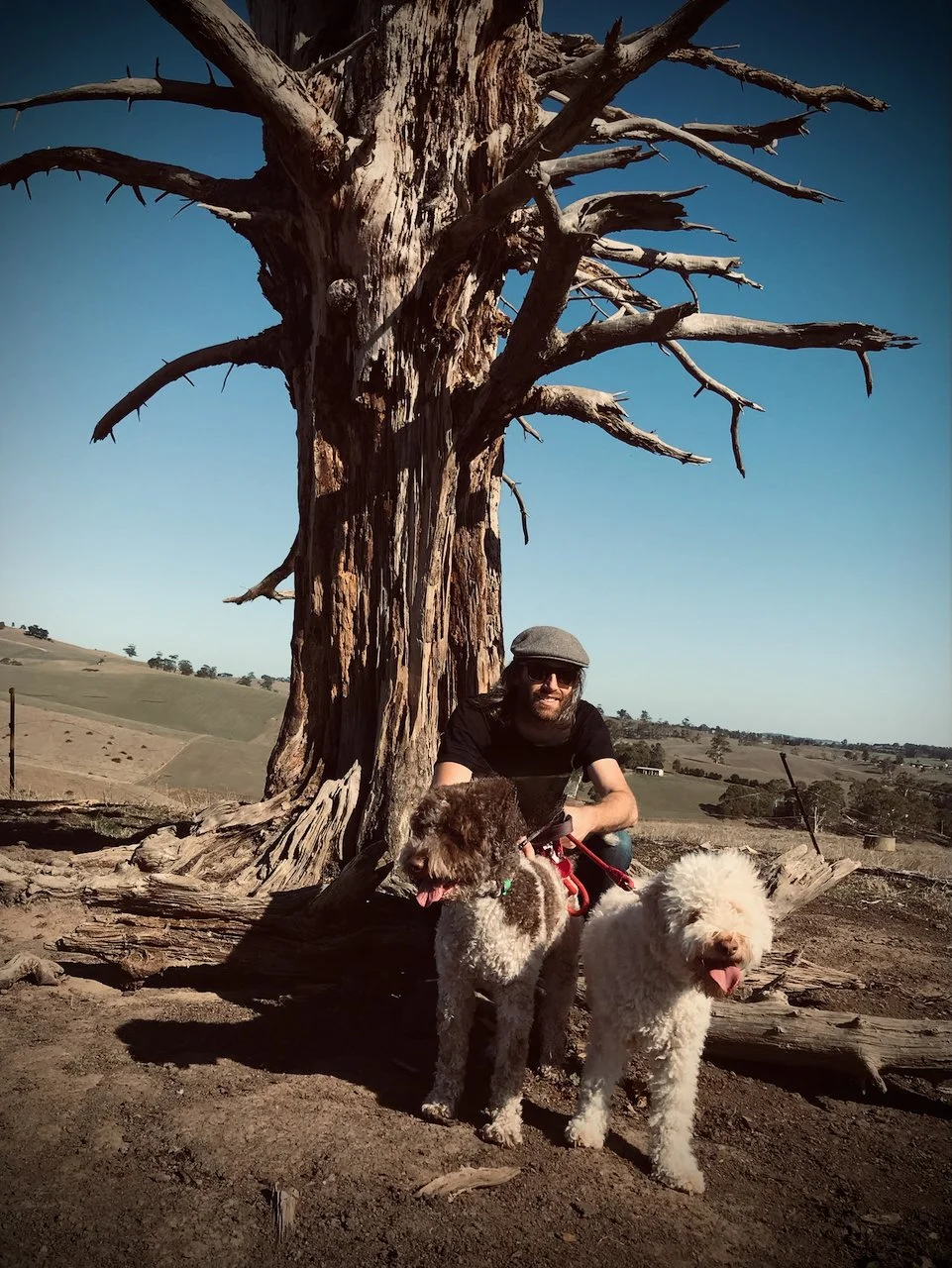 A man wearing a gray hat and sunglasses poses with two Lagotto Ramagnolo dogs in front of a large, leafless tree in a rural area with rolling hills in the background.