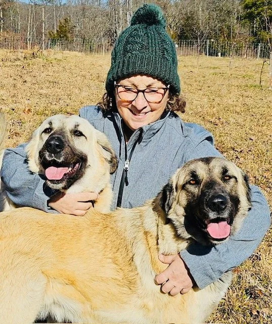 image15.jpeg